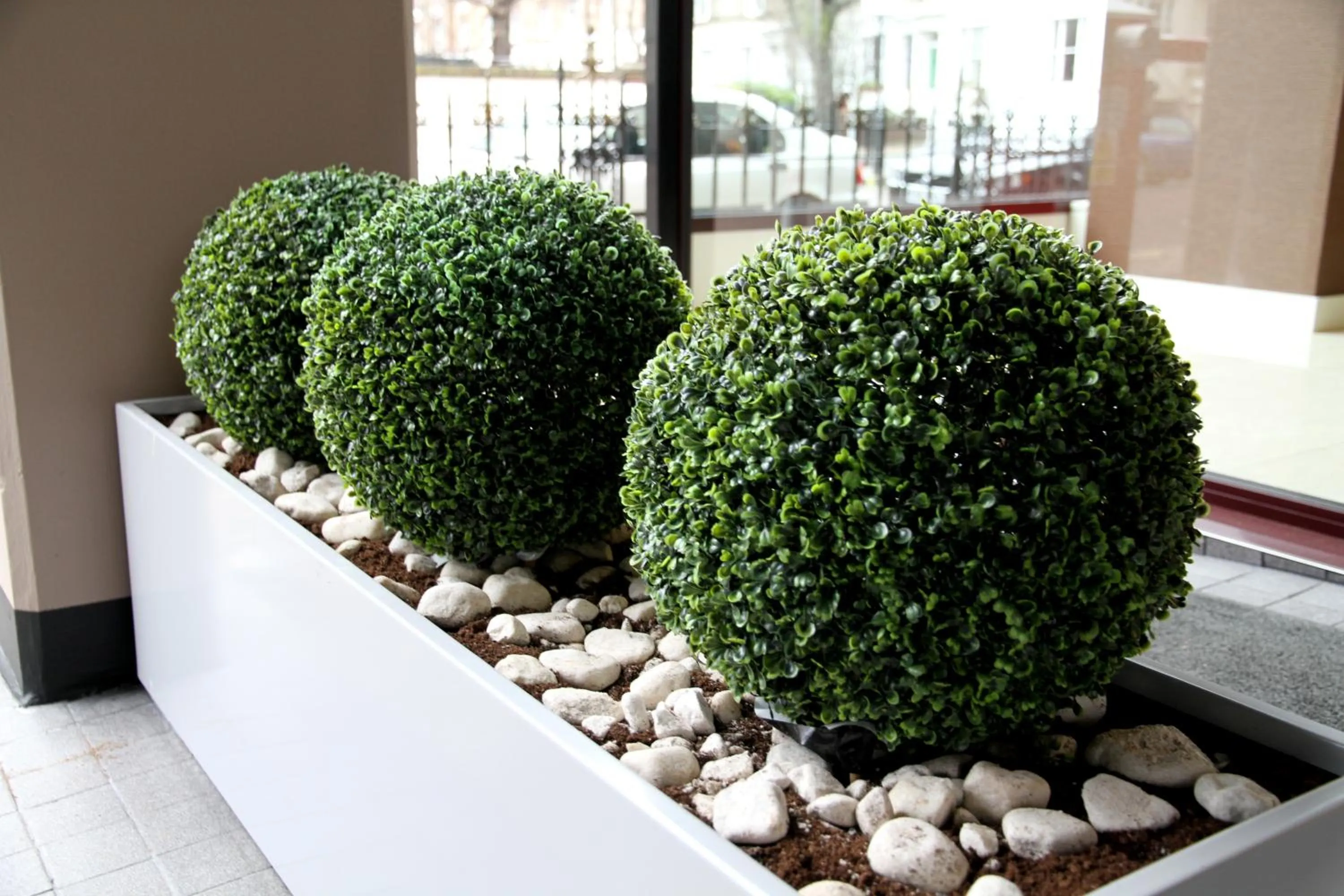 Decorative detail in Hotel Lily