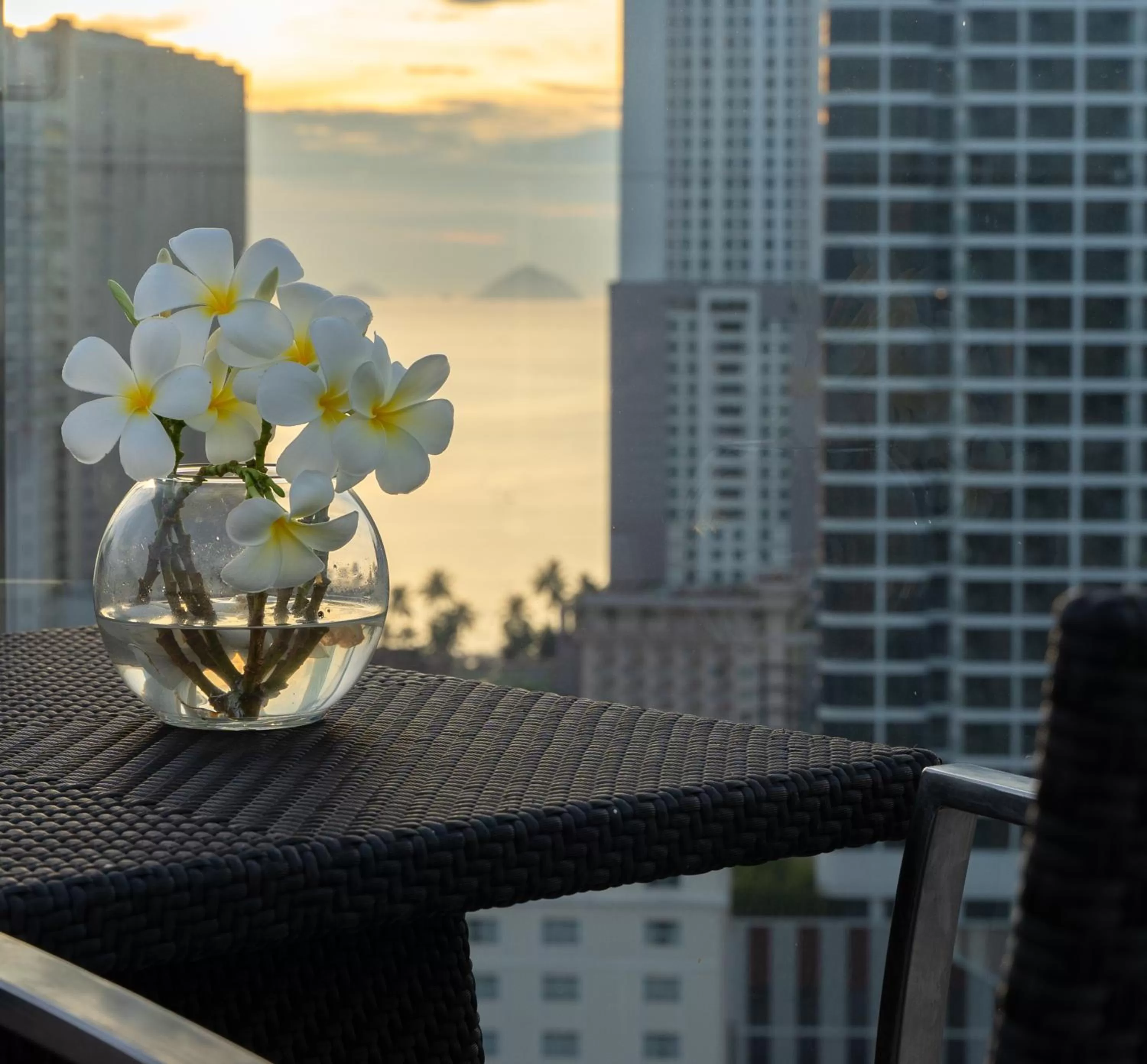 Day in The Gold Coast Hotel Nha Trang