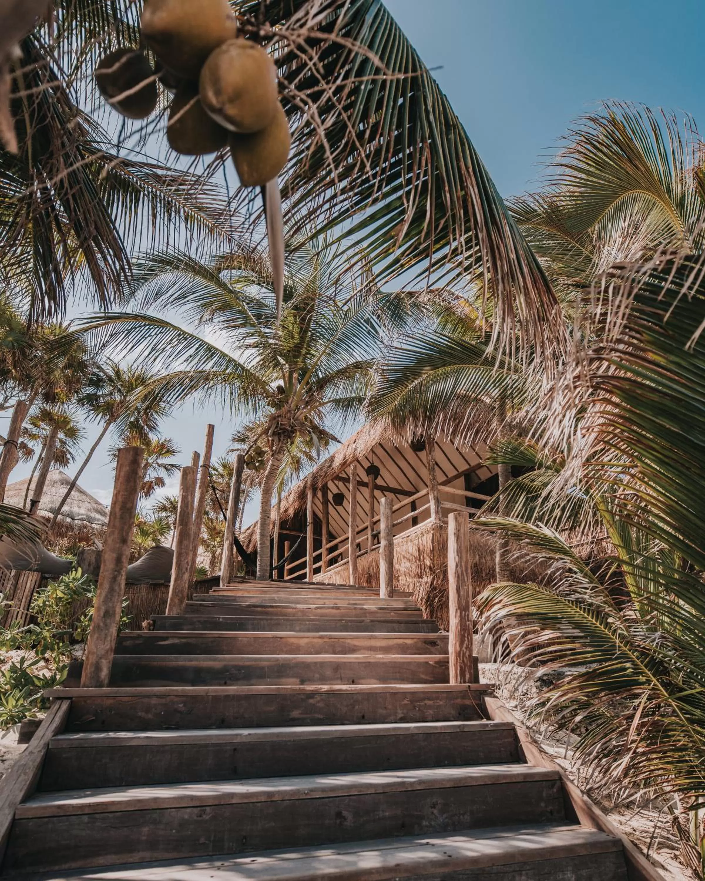 Area and facilities in Papaya Playa Project, Tulum, a Member of Design Hotels