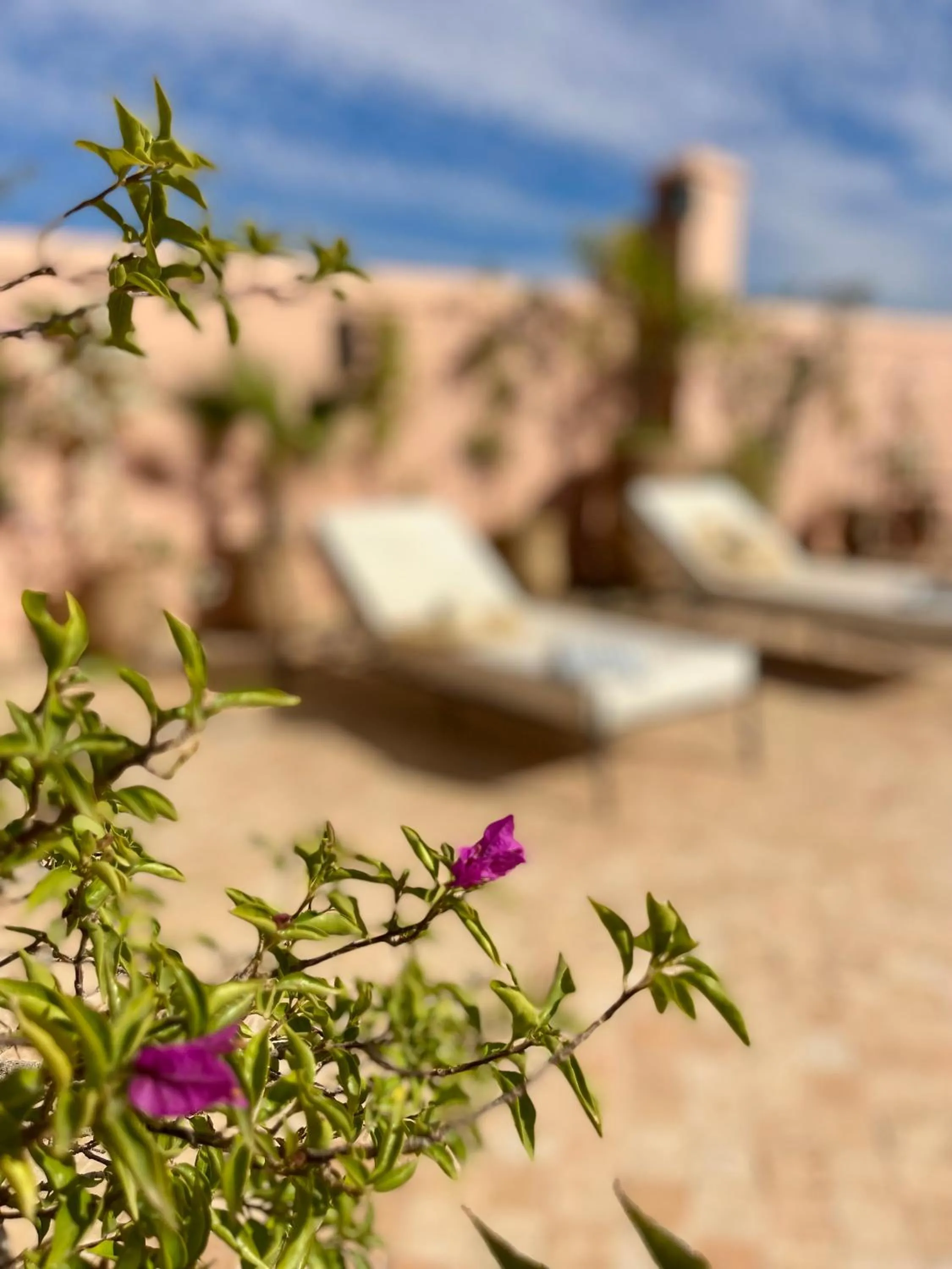 Balcony/Terrace in Riad Dar Foundouk and Spa