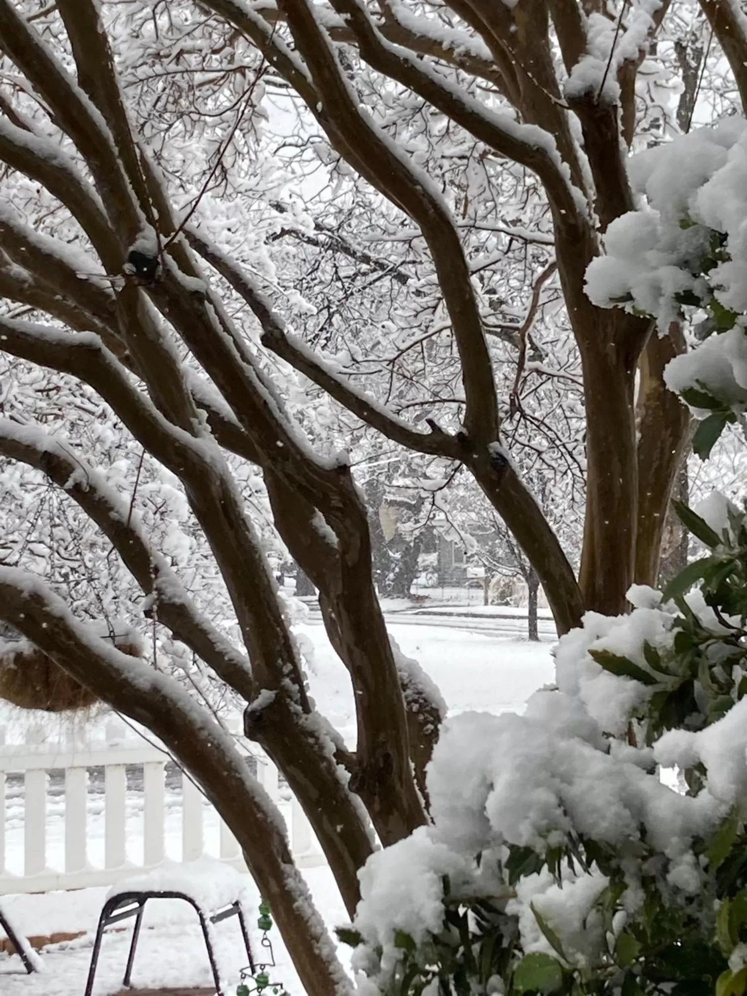 Other in Granbury Gardens Bed and Breakfast