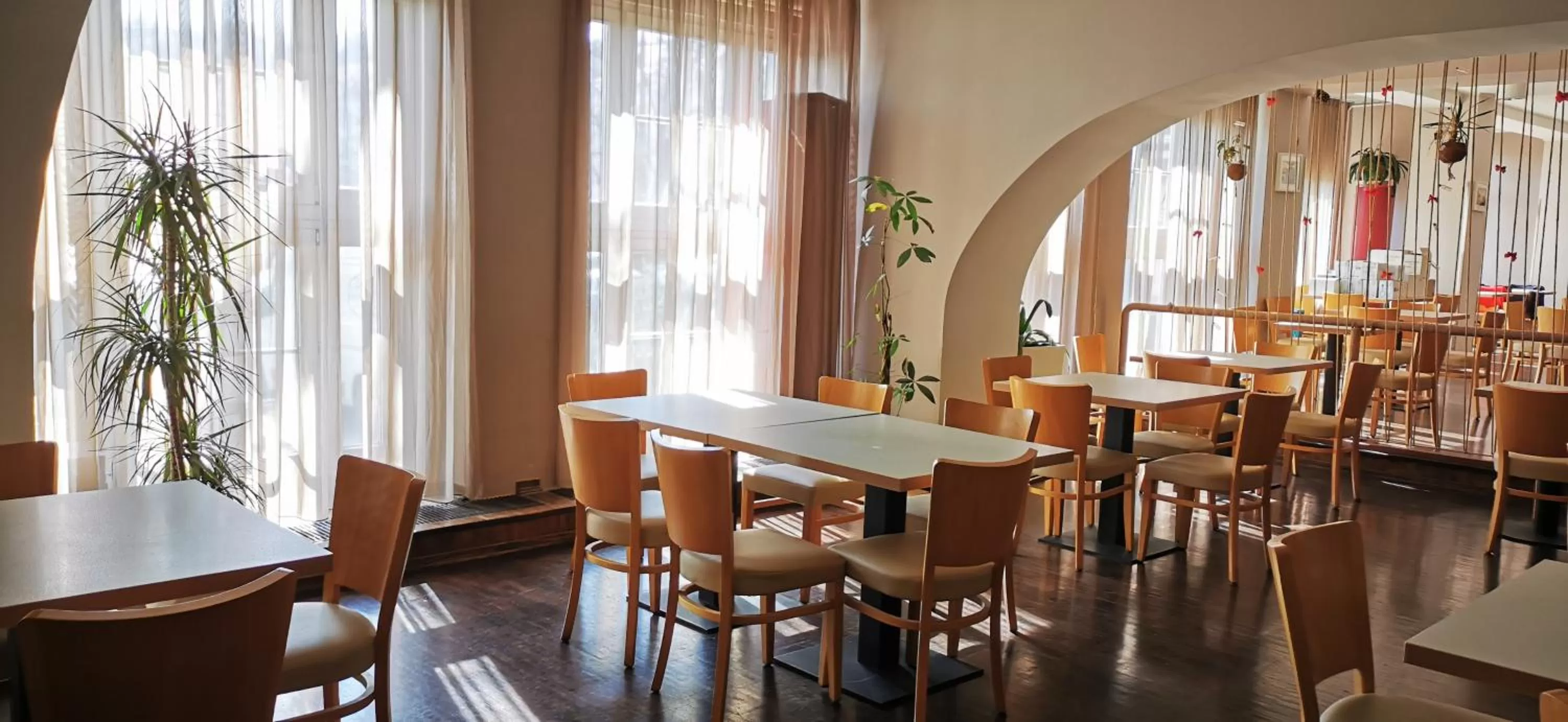 Food and drinks in Akcent hotel