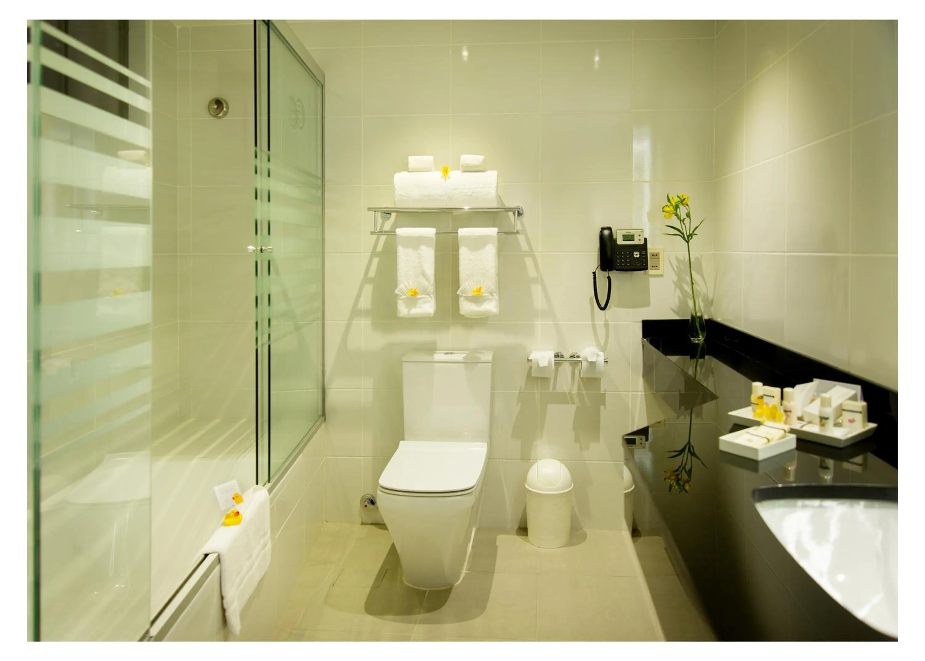 Toilet in Casa Grande Suites