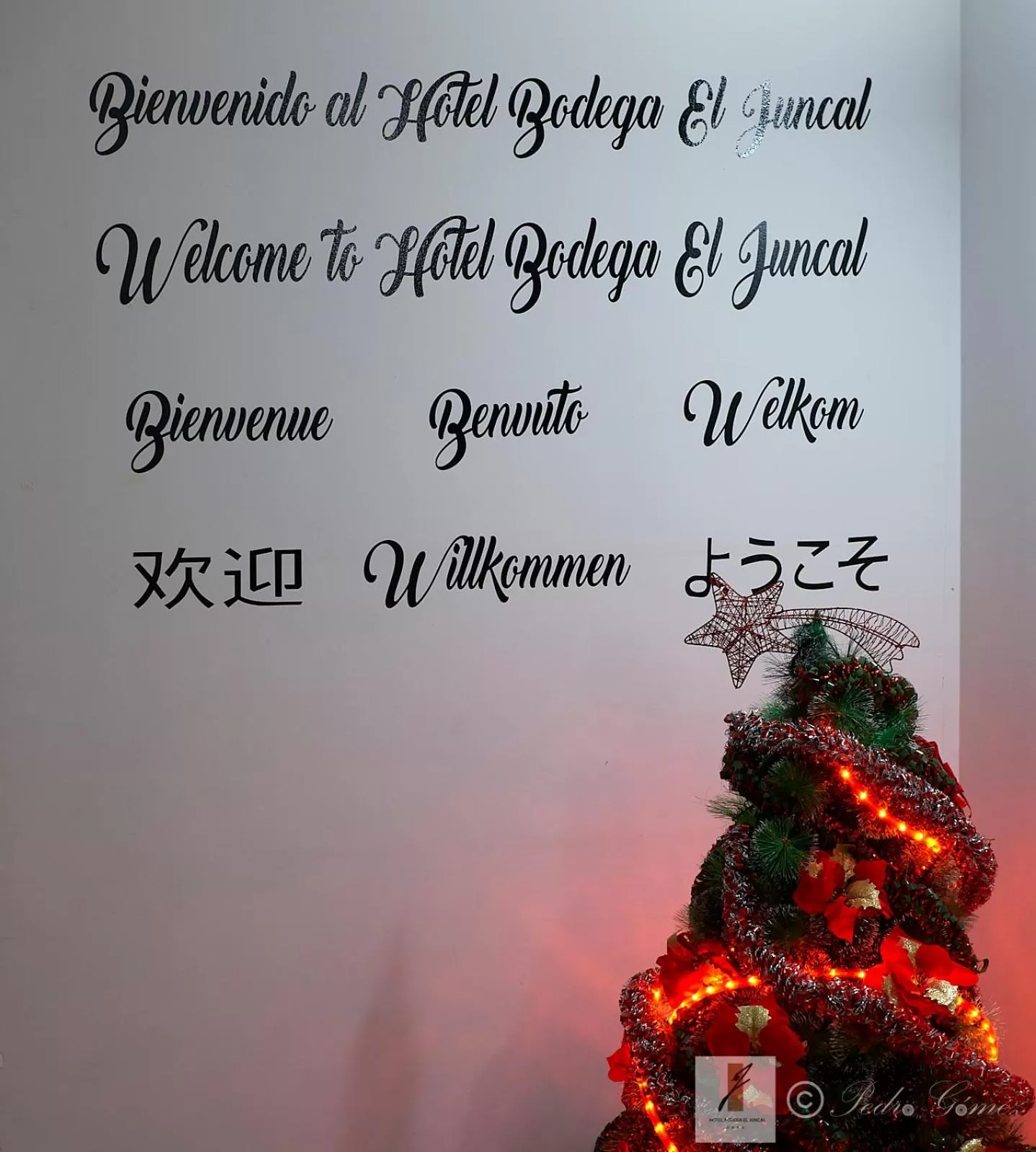 Lobby or reception in Hotel Bodega El Juncal