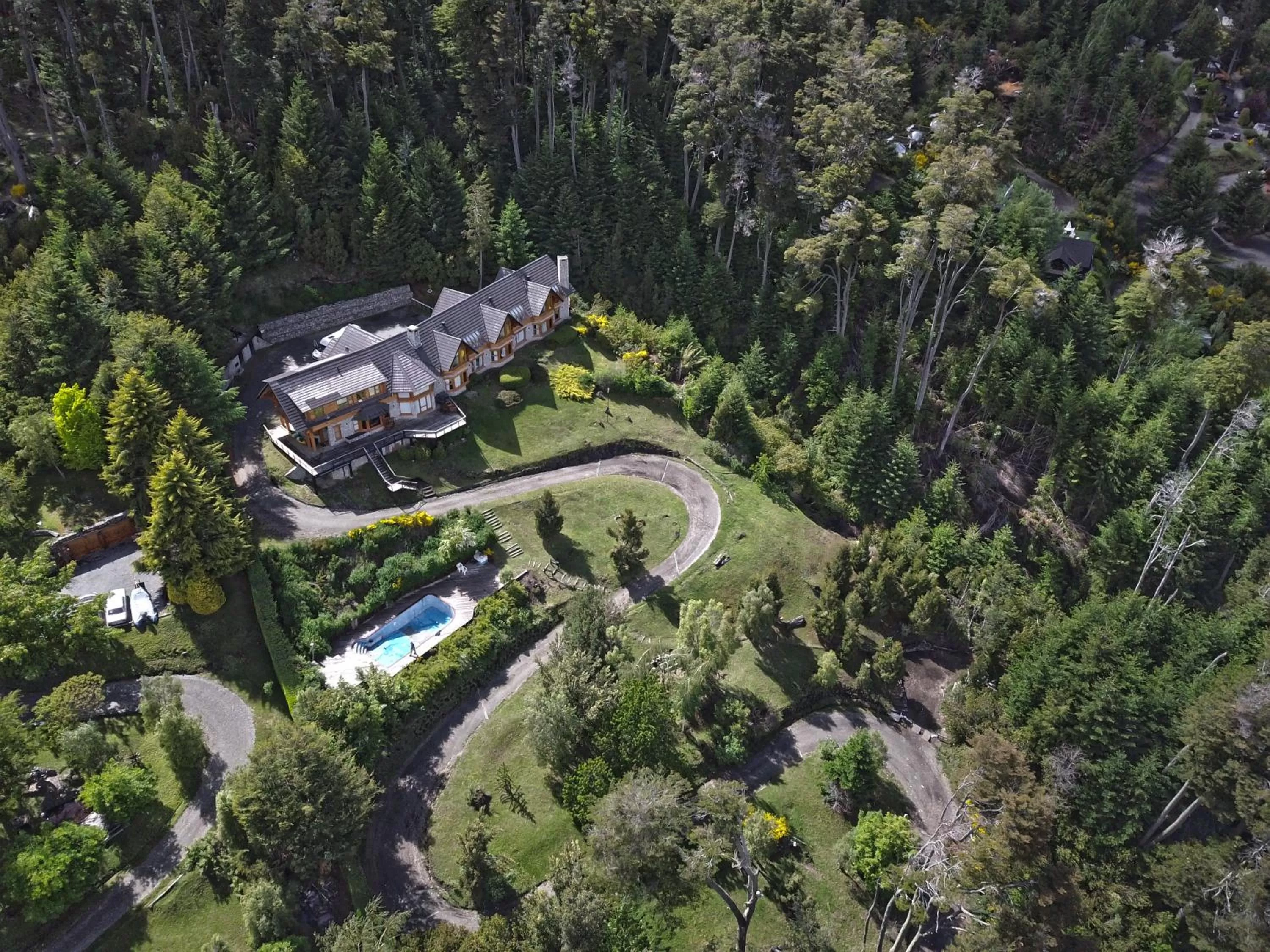 Bird's eye view, Bird's-eye View in Amigos del Bosque