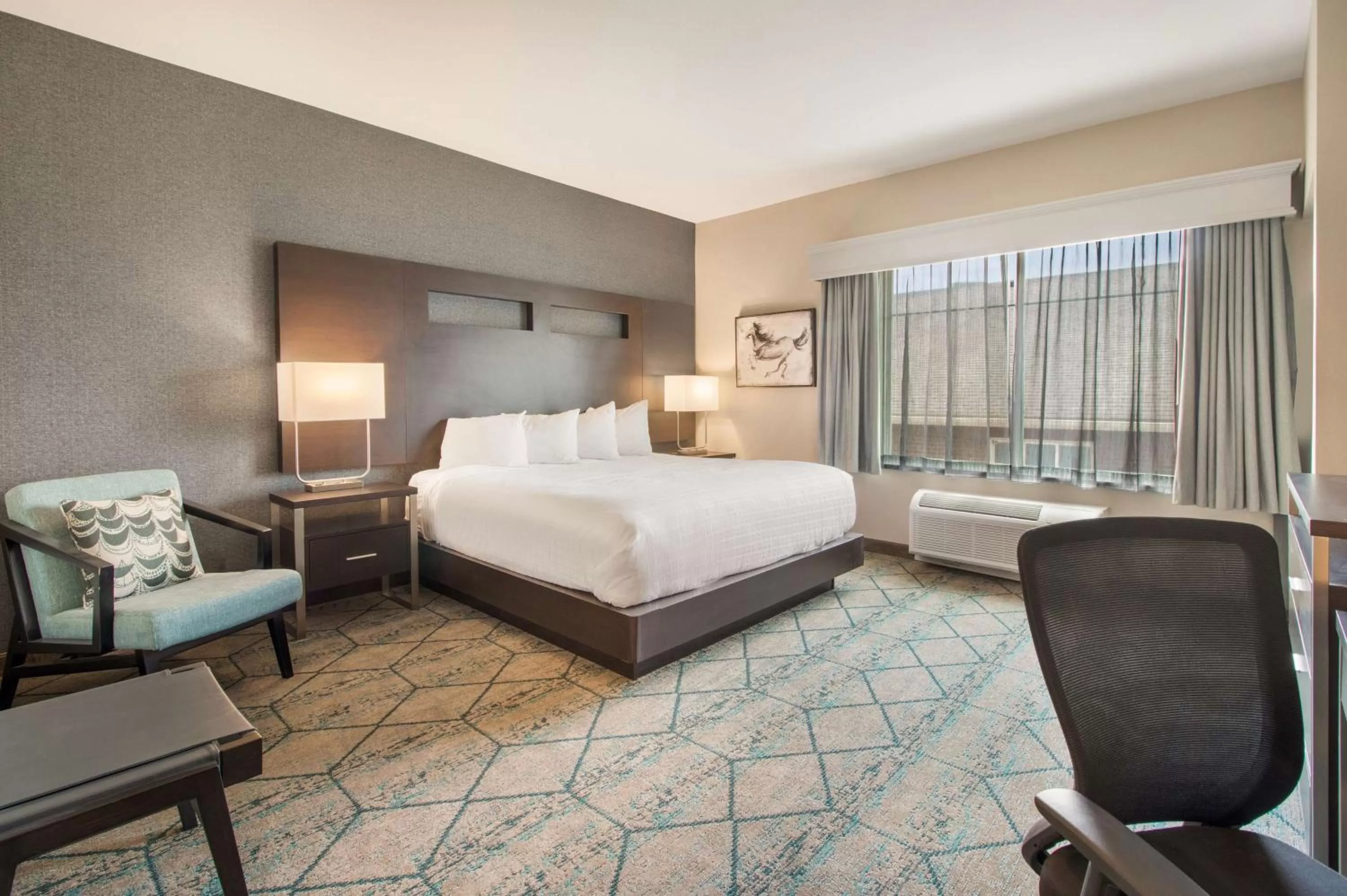 King Room with Roll-In Shower - Disability Access in Best Western Plus Louisville North