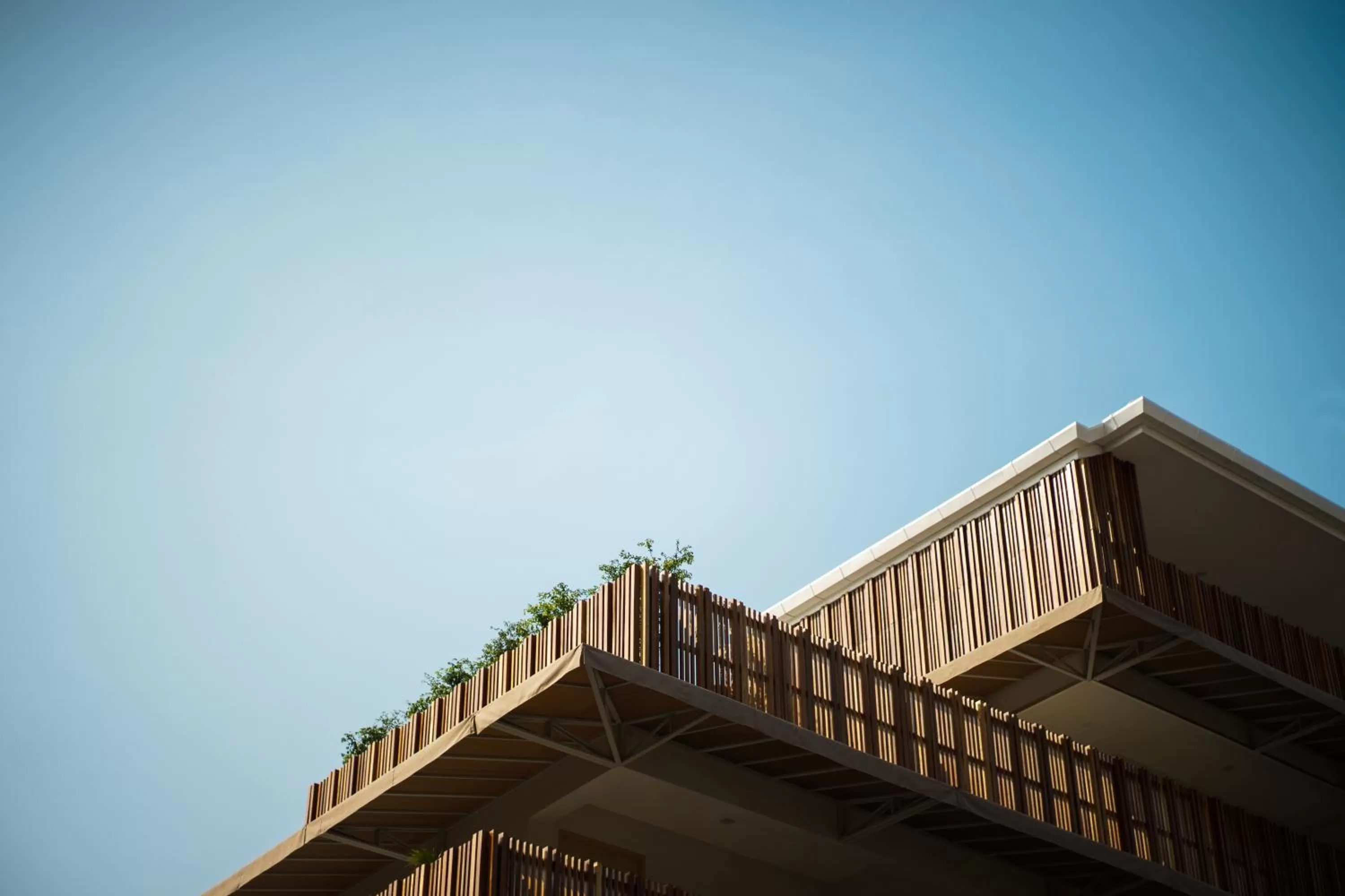 Property building in Kate and Hasu Boutique Chiangmai