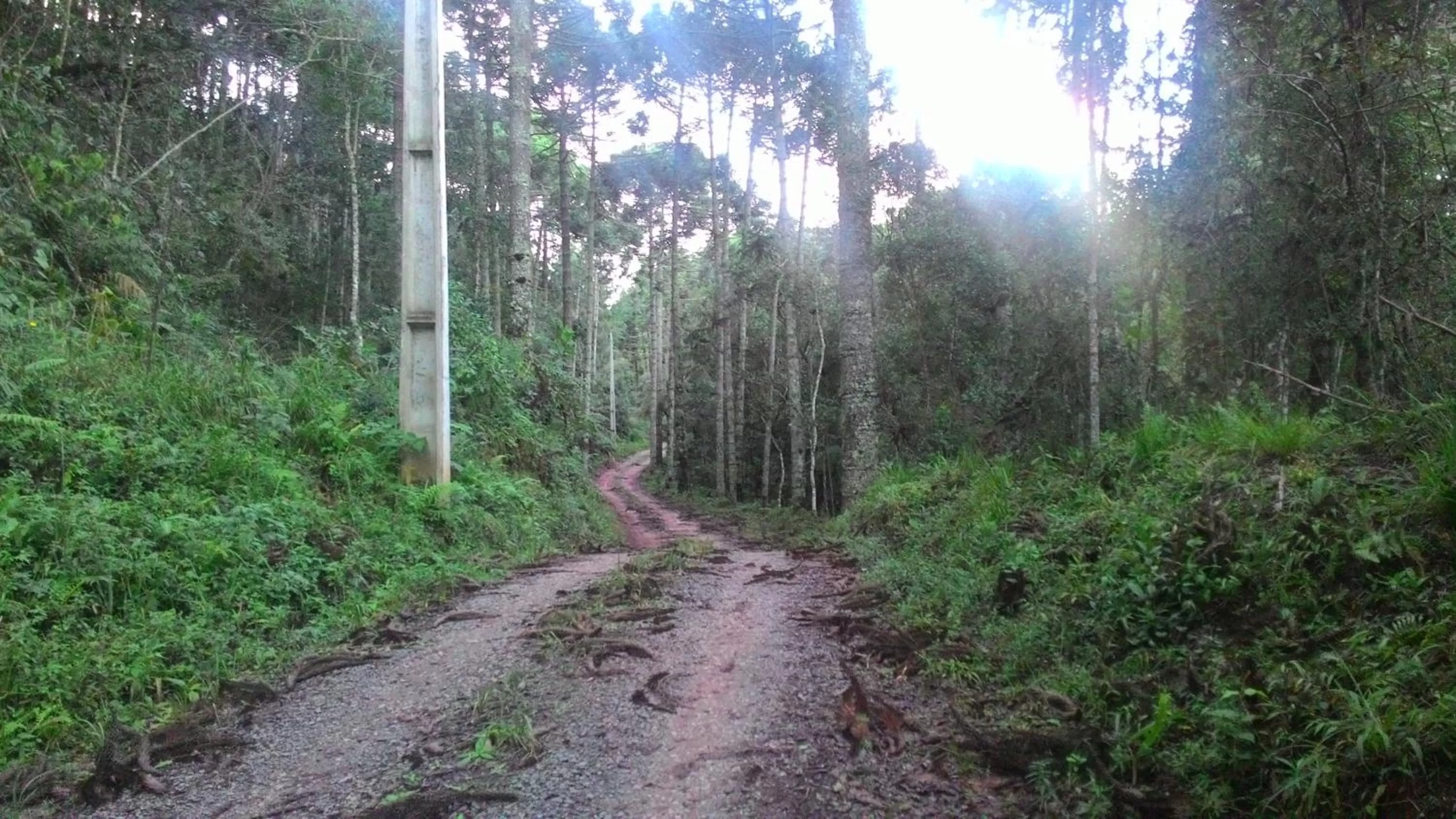 Property building in MD Luar da Montanha