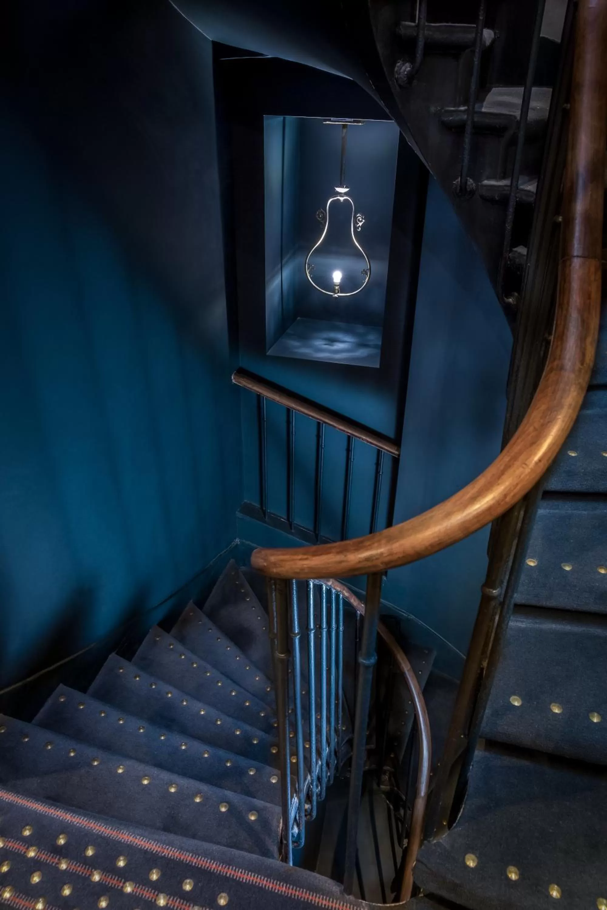 Area and facilities in Hotel Scarlett