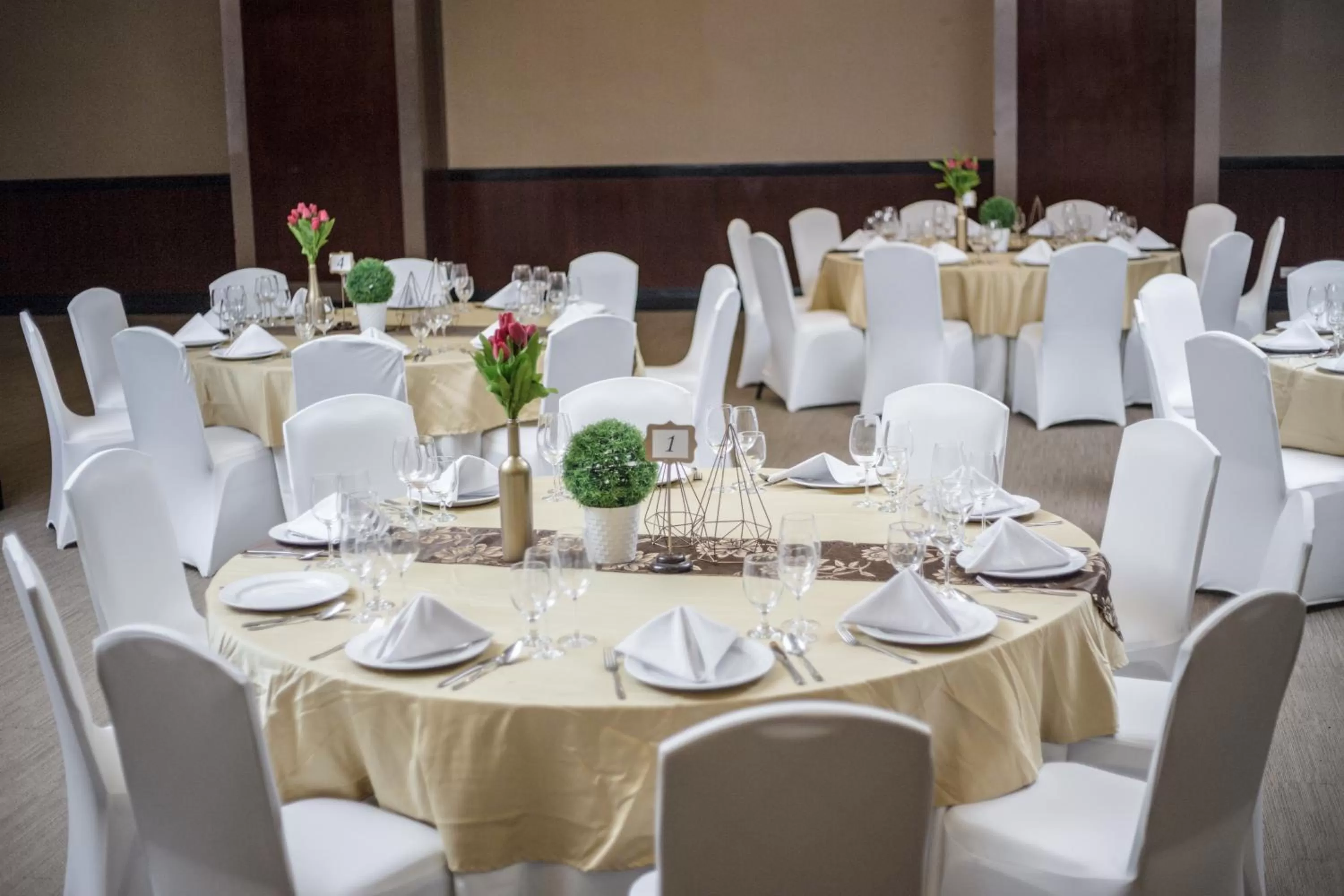 Banquet/Function facilities in The Alpha Suites