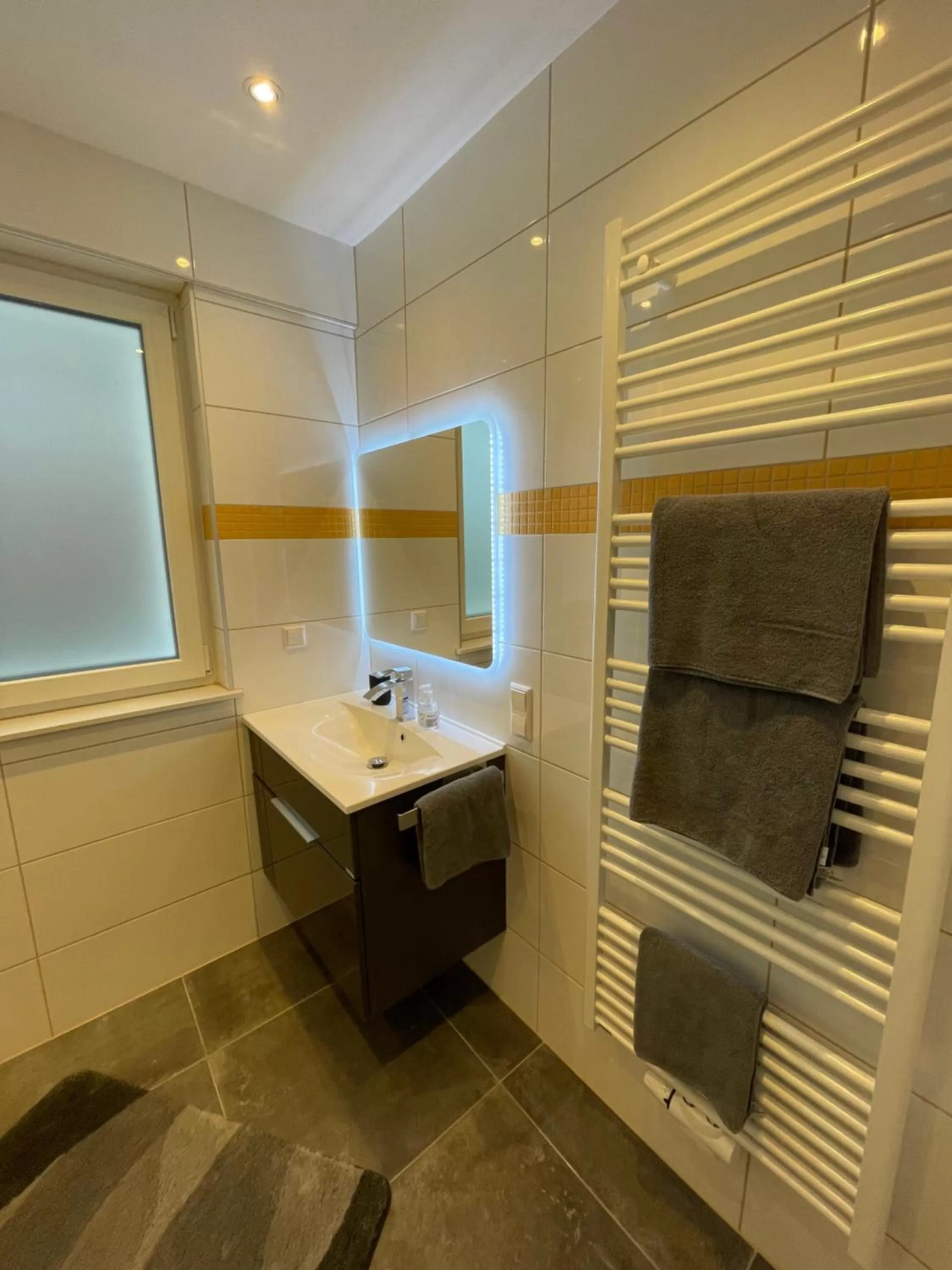 Bathroom in Boarding House Zweibrücken