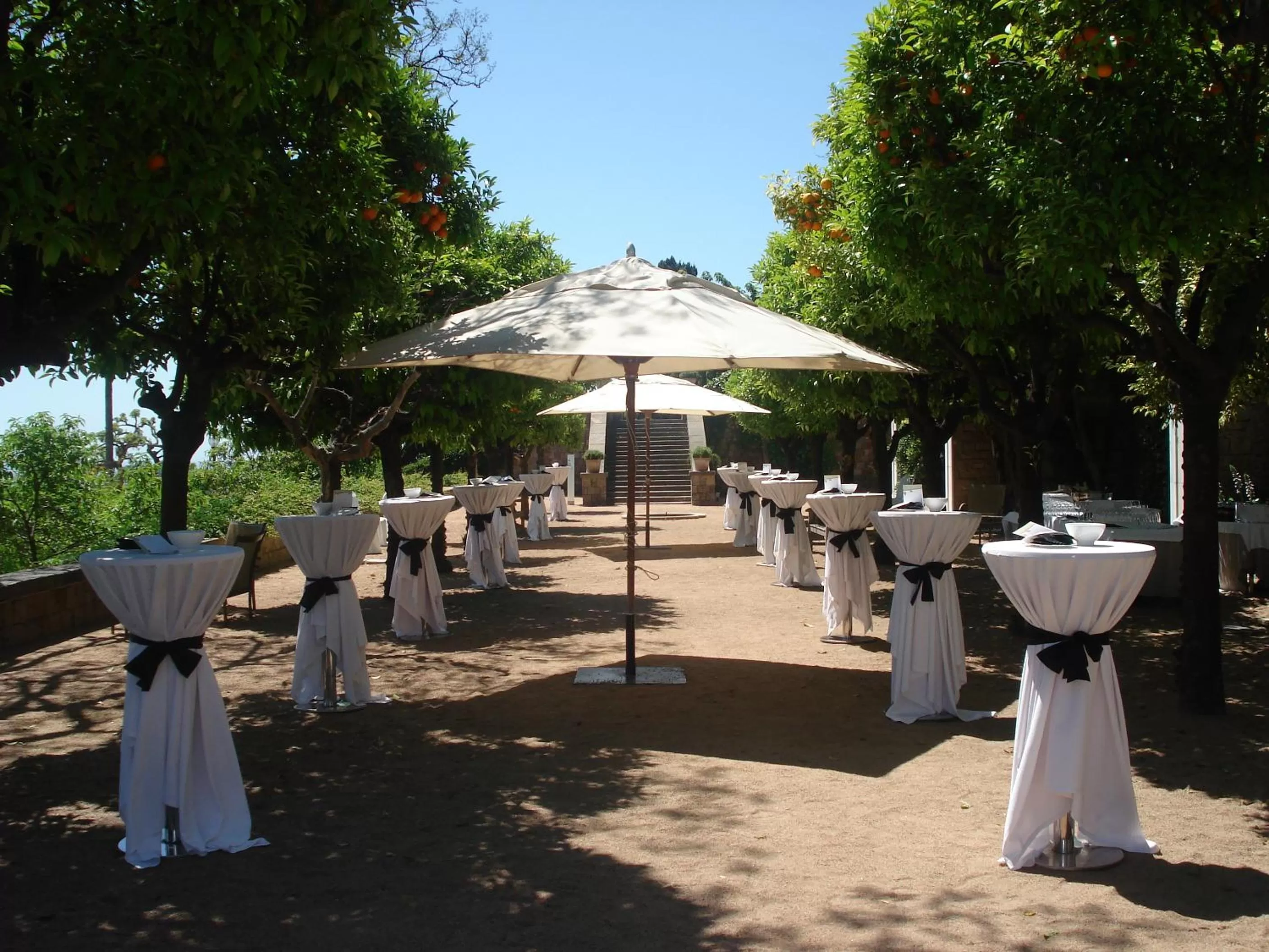 Balcony/Terrace in Hotel Miramar Barcelona GL