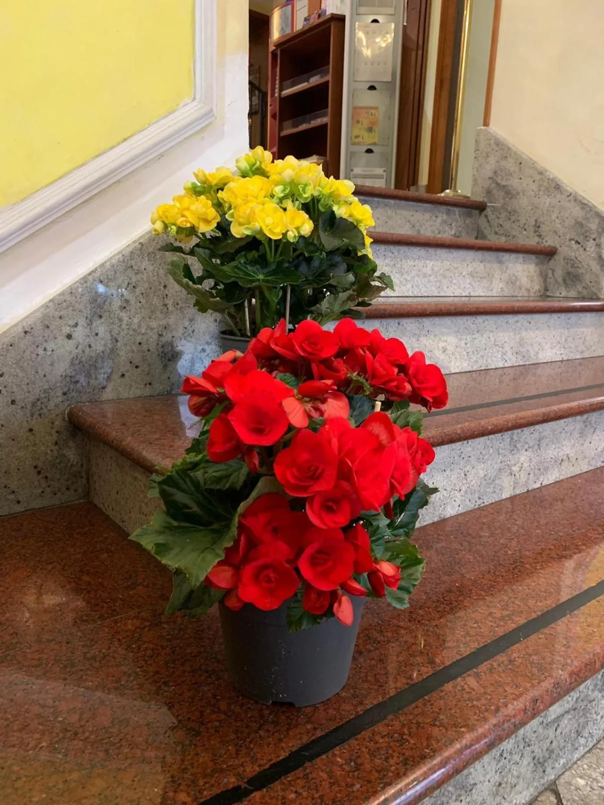 Lobby or reception in Hotel Stromboli