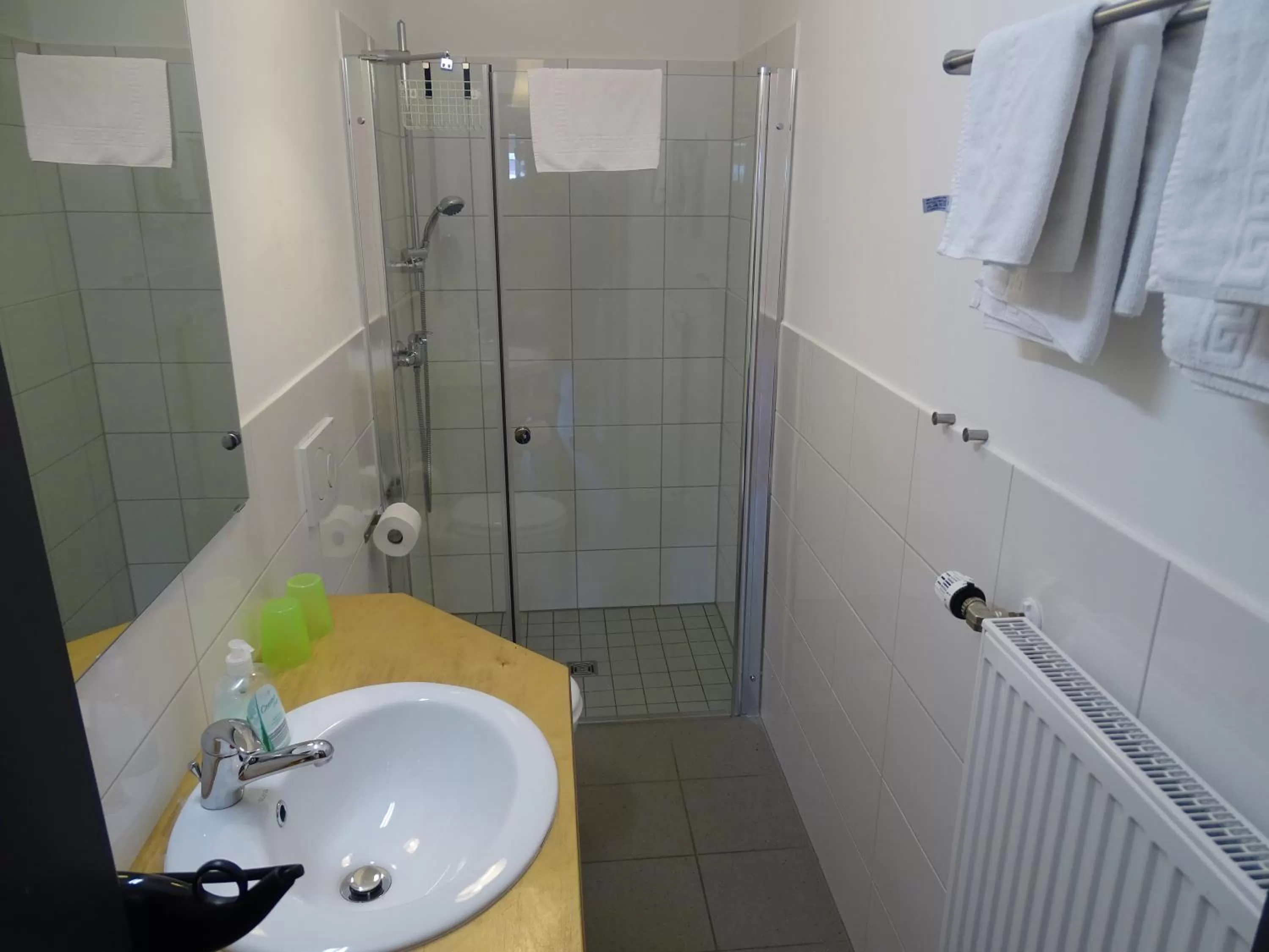 Bathroom in Hotel Demling