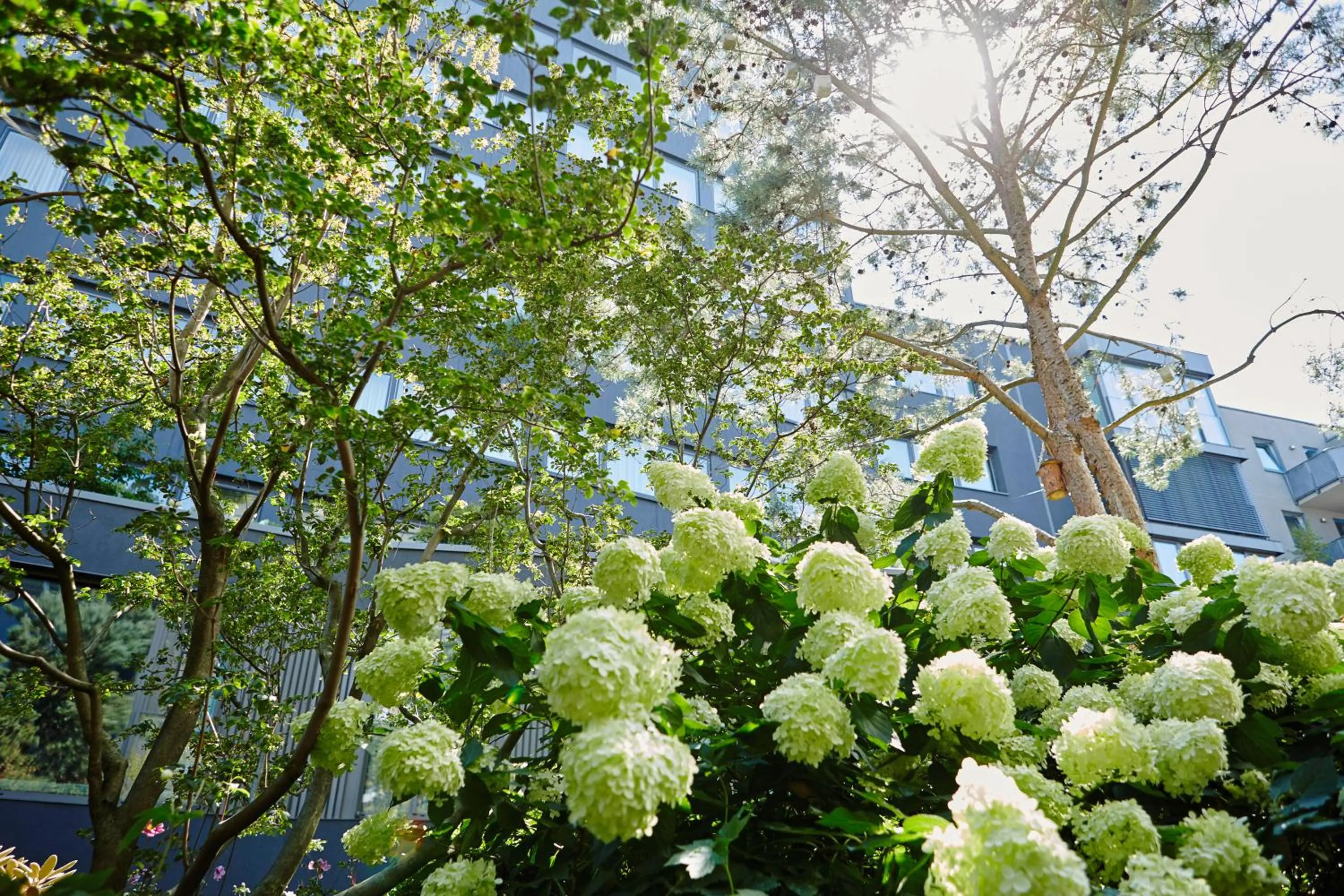 Garden in Savoy Hotel
