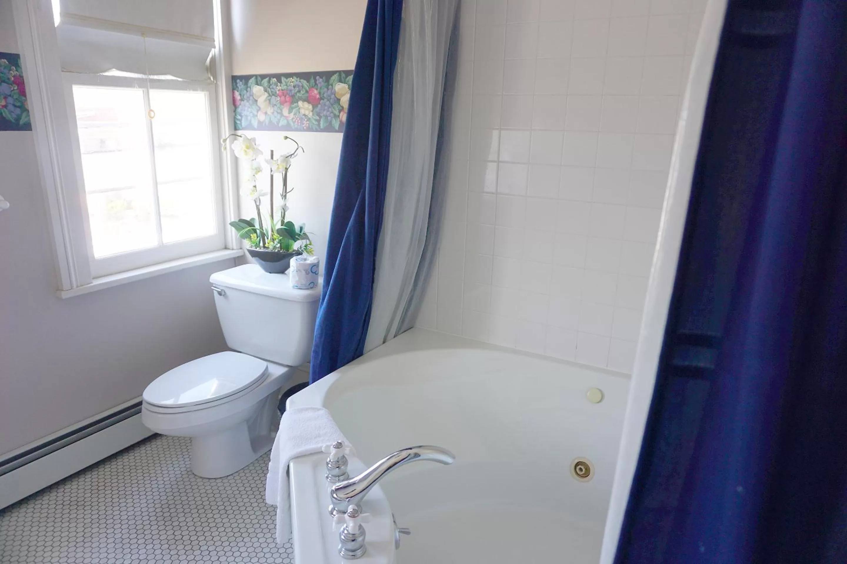 Bathroom in Stay Saratoga