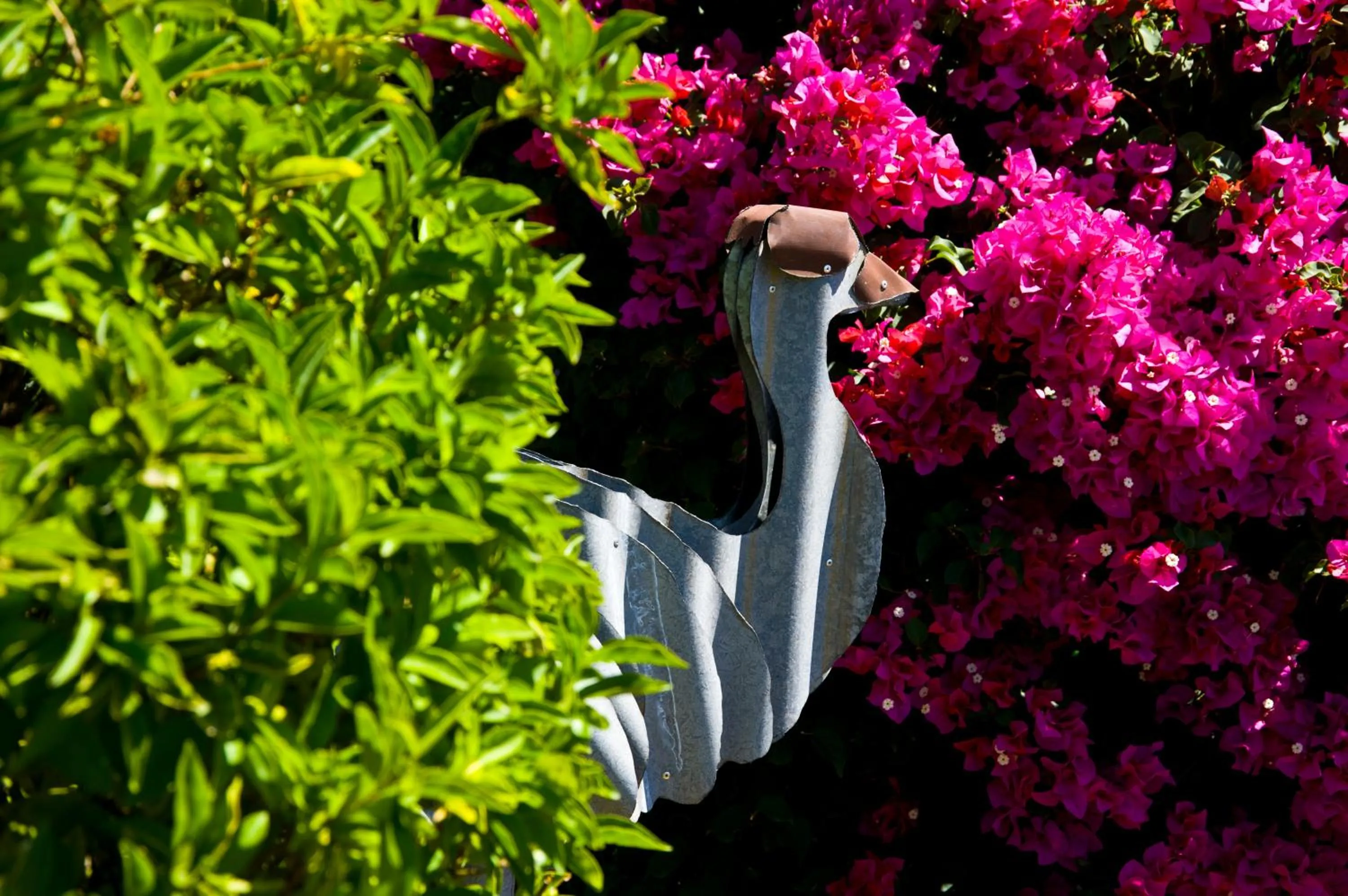 Spring in Starlight Motor Inn