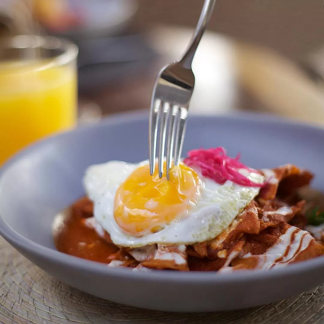 Restaurant/places to eat in Hotel Amatte San Miguel de Allende