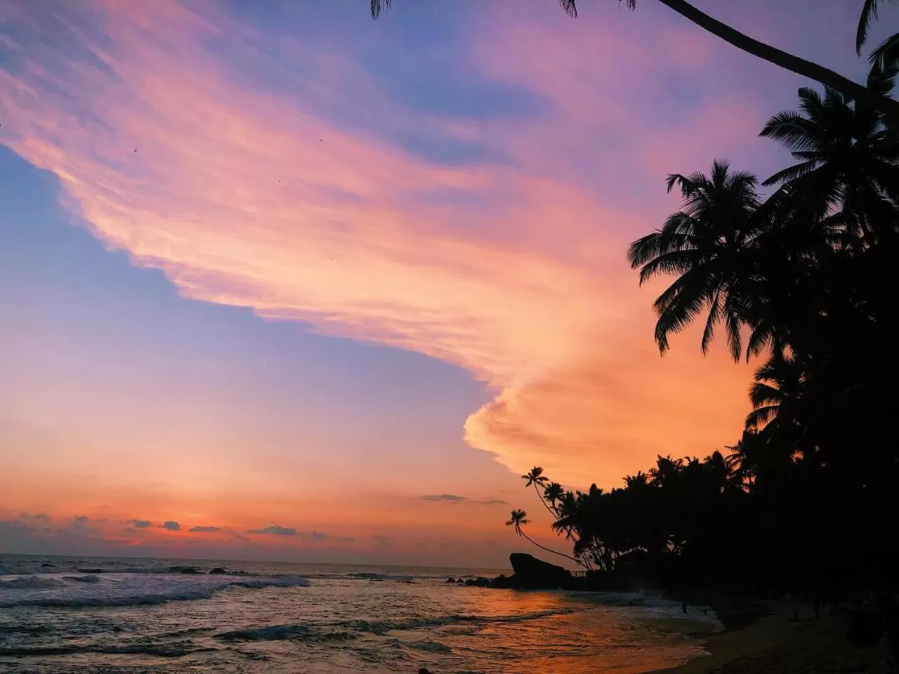 Natural landscape in Galawatta Beach Resort