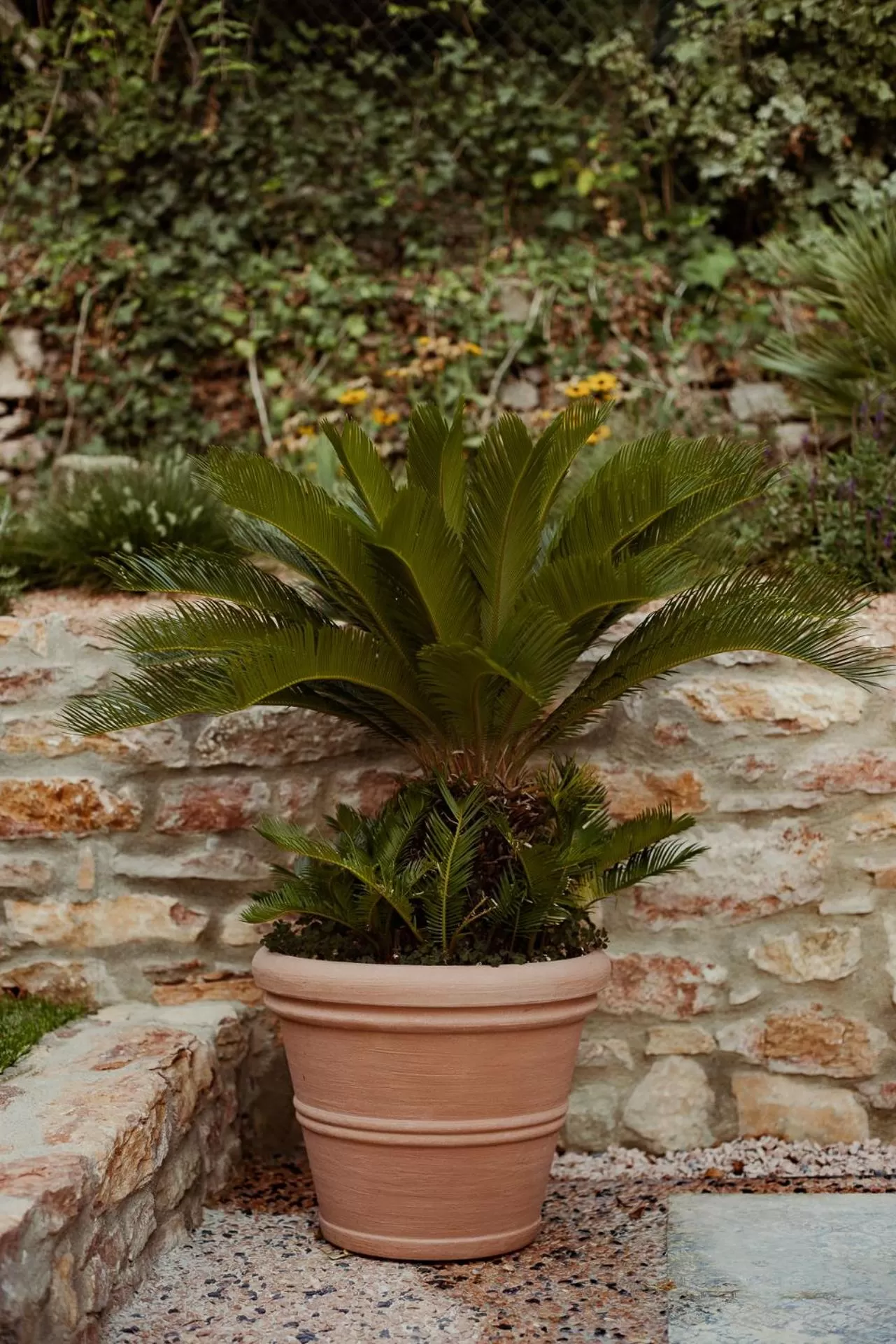 Garden in FAVAI HILLS your secret hideaway