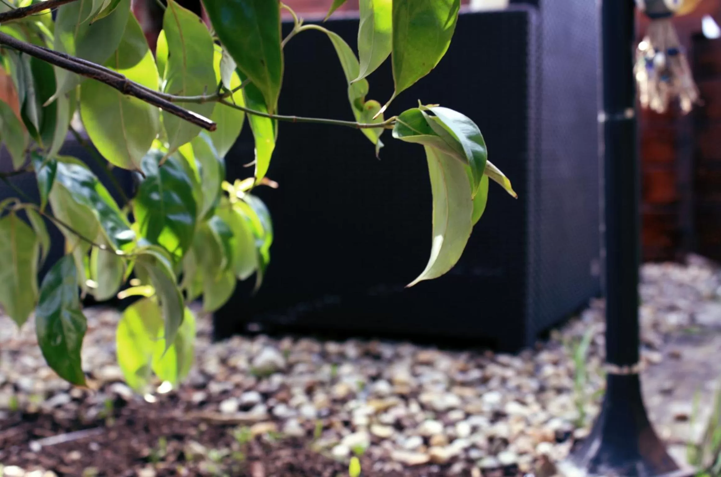 Patio in Beaufort House Accomodation