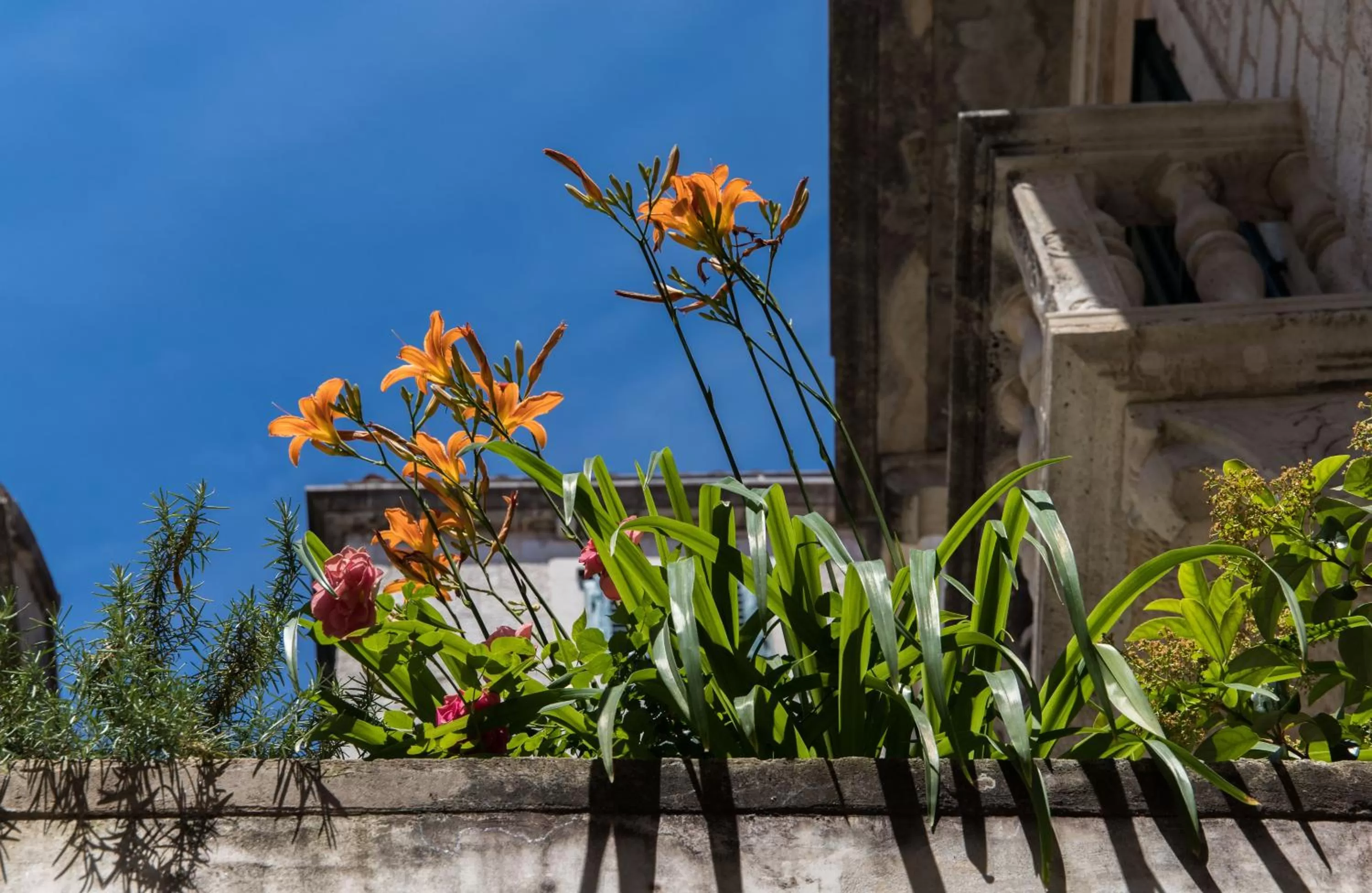 Property building in Slavija Culture Heritage Hotel