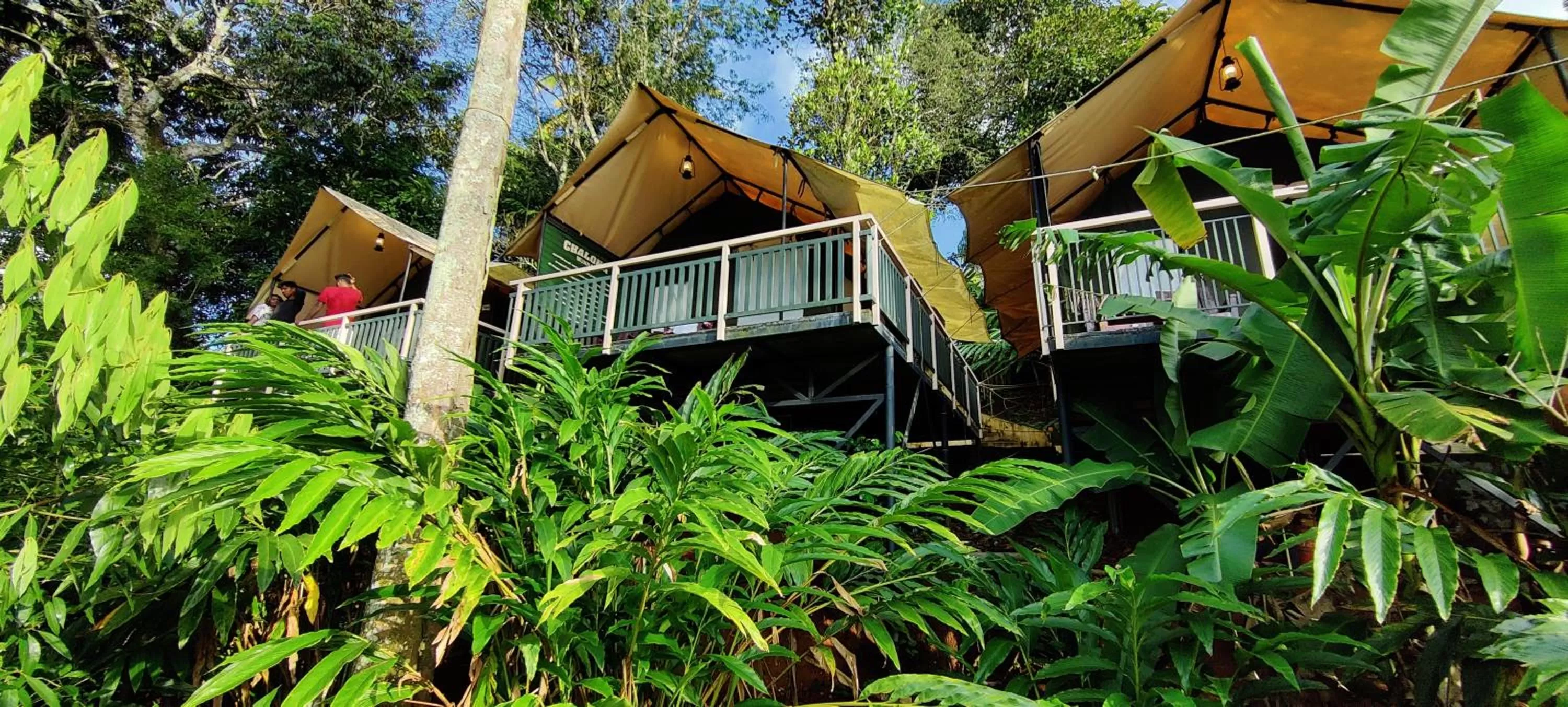 Natural landscape, Property Building in Chalona Jungle Vibe