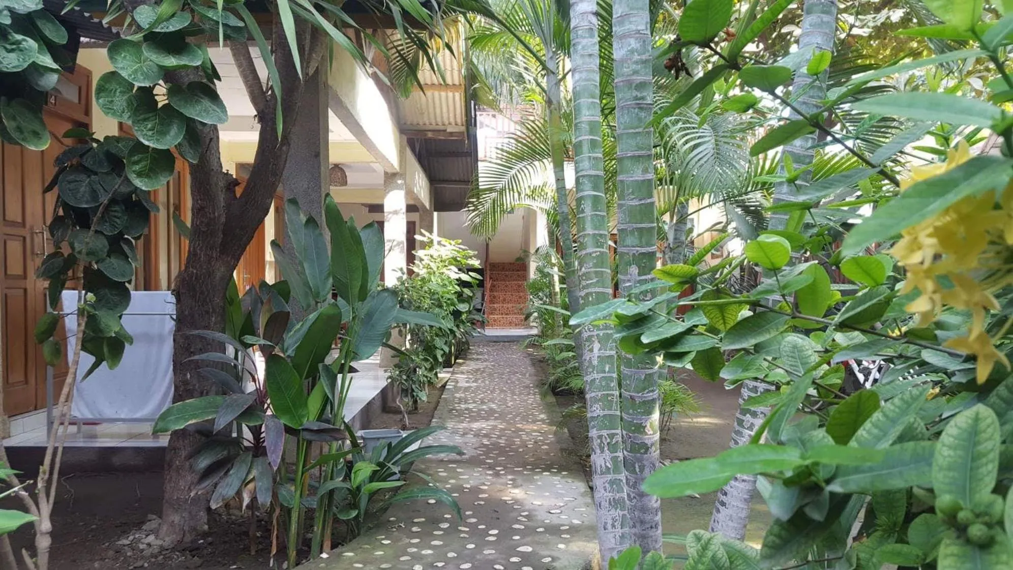 Garden view in Sagita Bungalow