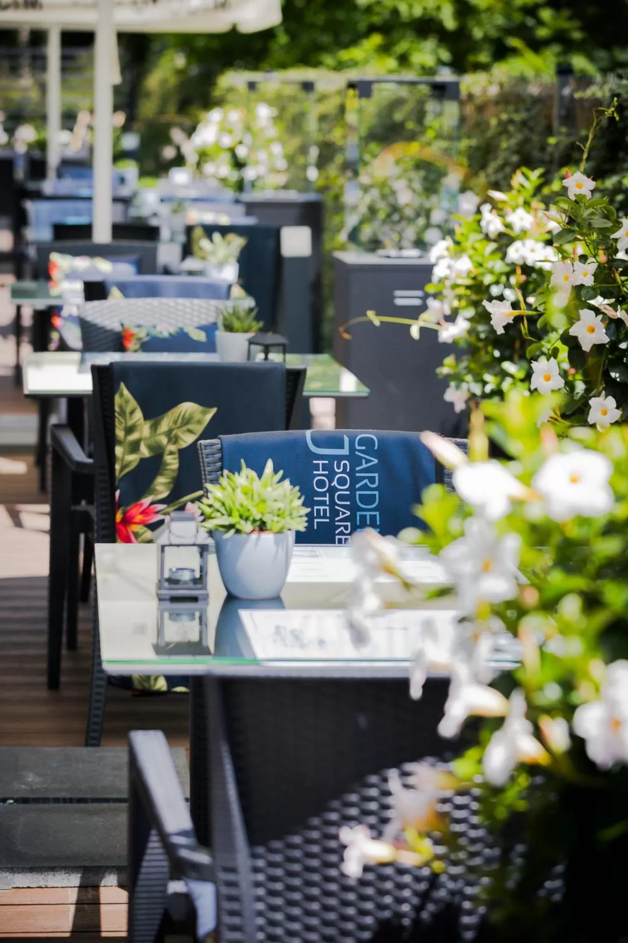 Day in Focus Hotel Premium Kraków