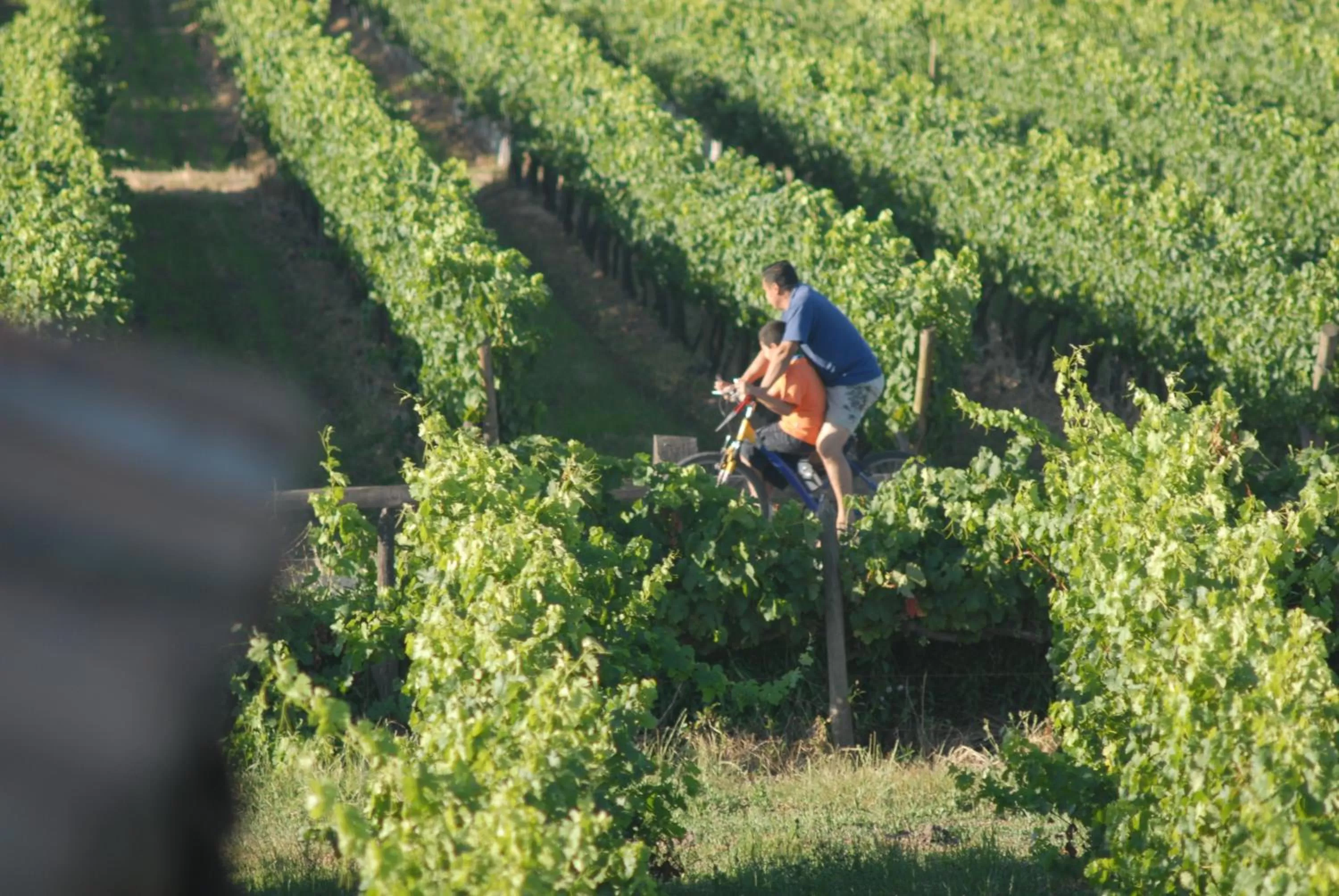 Cycling in Hotel Terraviña
