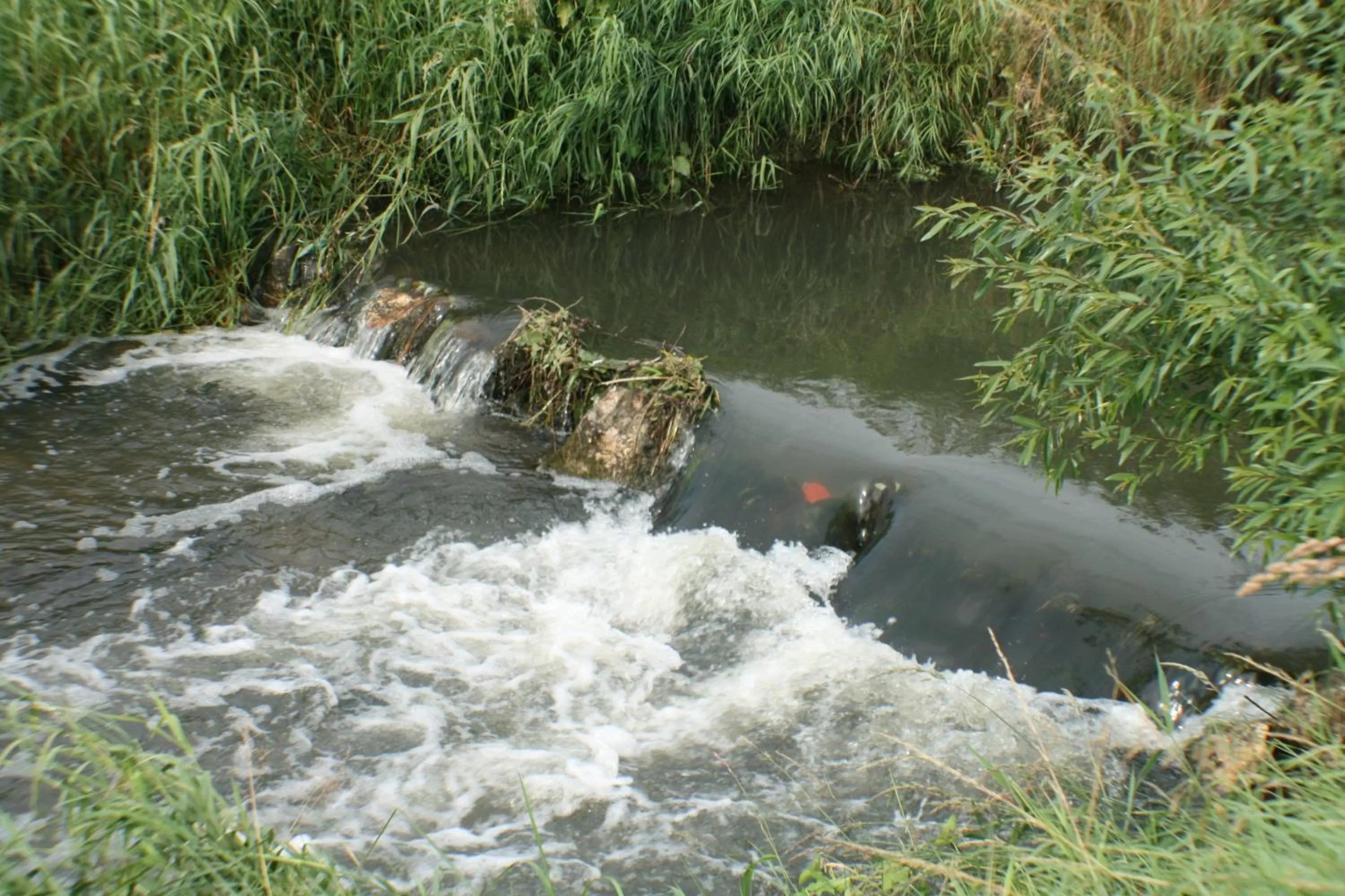 Nearby landmark in Daisy Superior