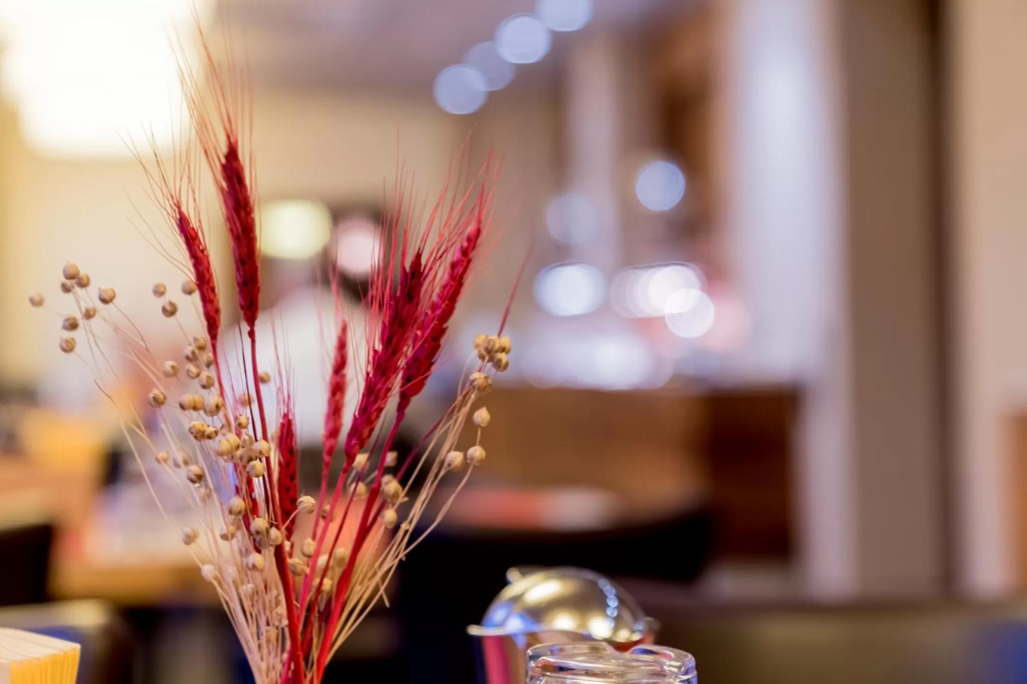 Restaurant/places to eat in Hotel Bacchus