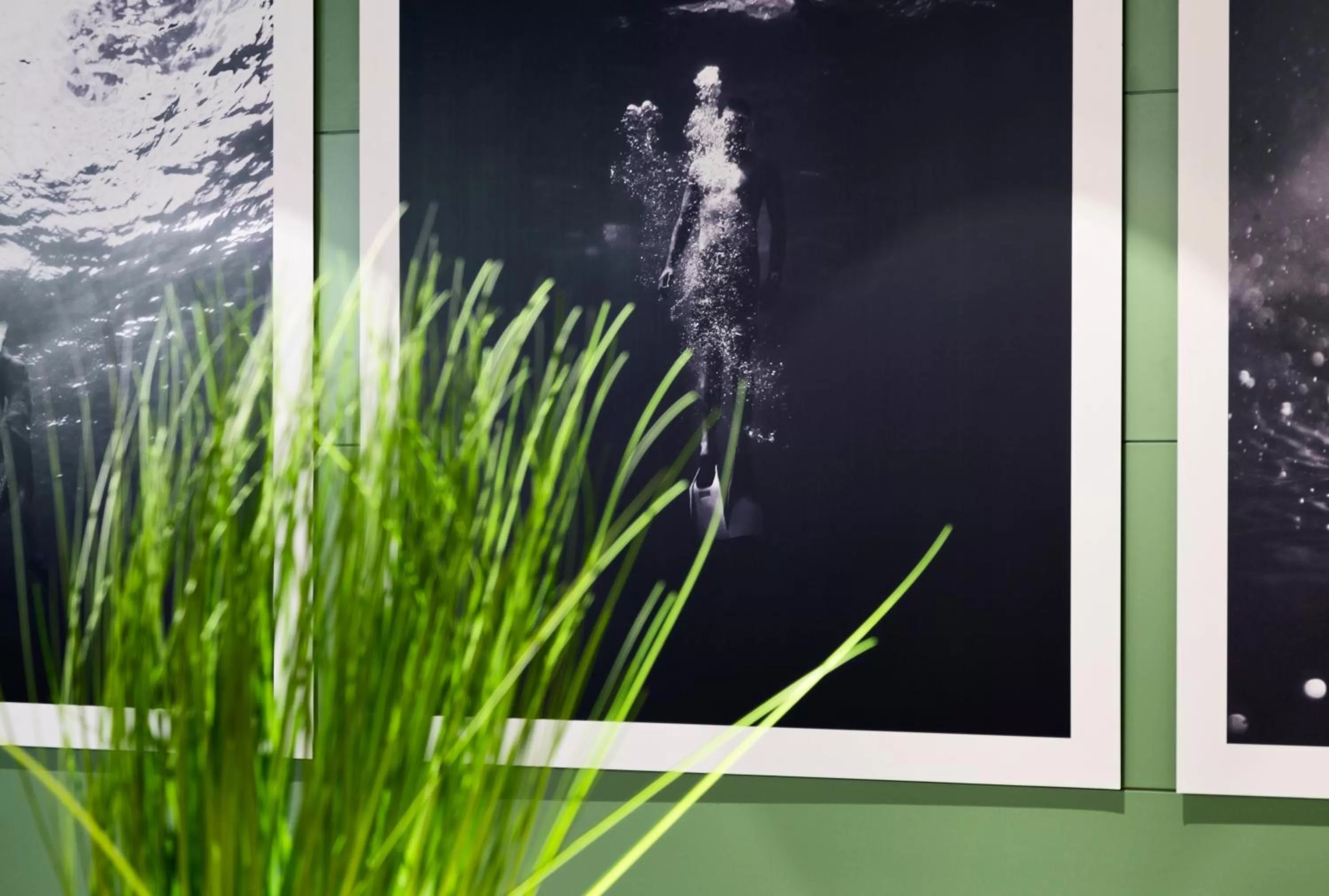 Decorative detail in B&B HOTEL Castellón