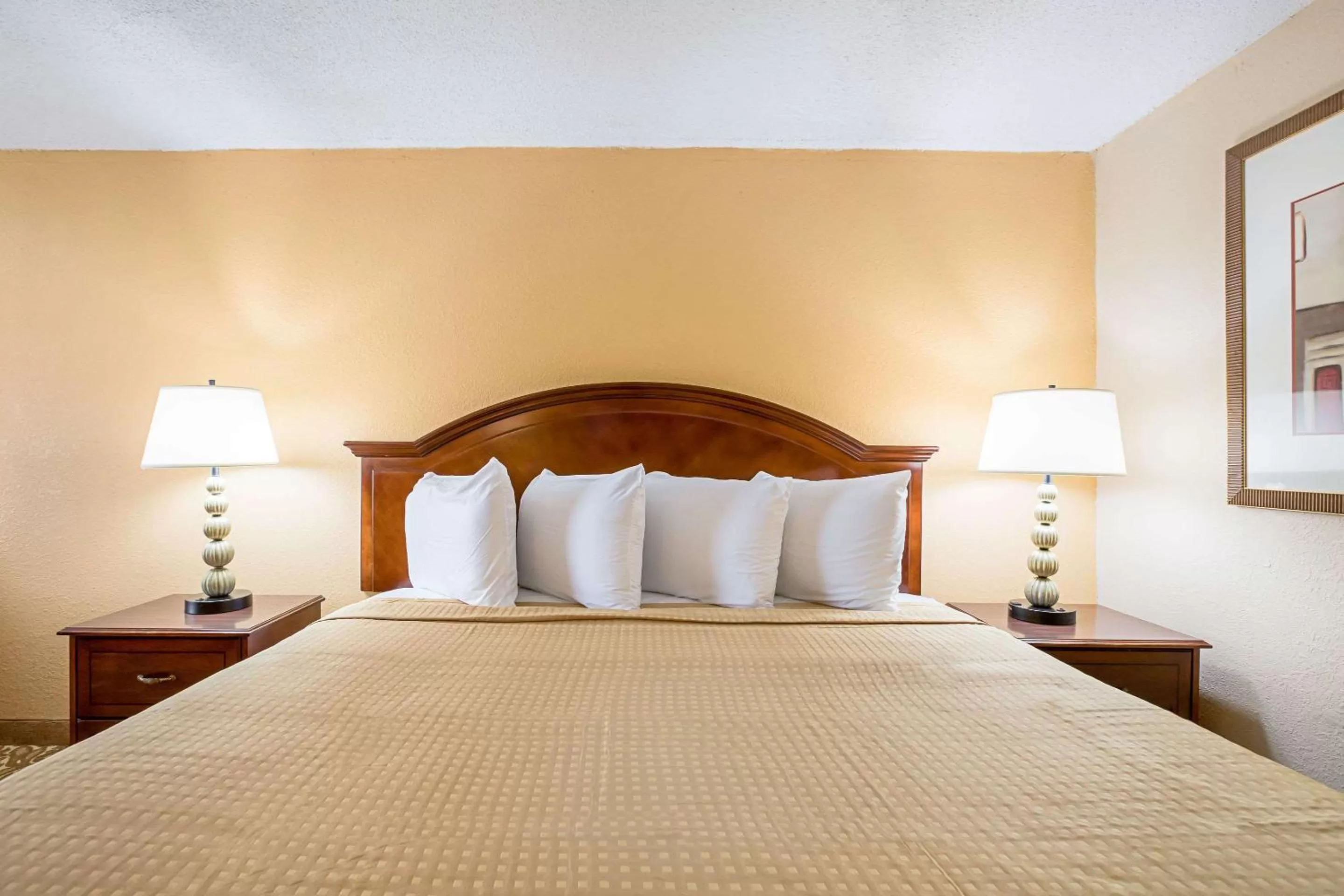 Photo of the whole room, Bed in Rodeway Inn Metro Airport