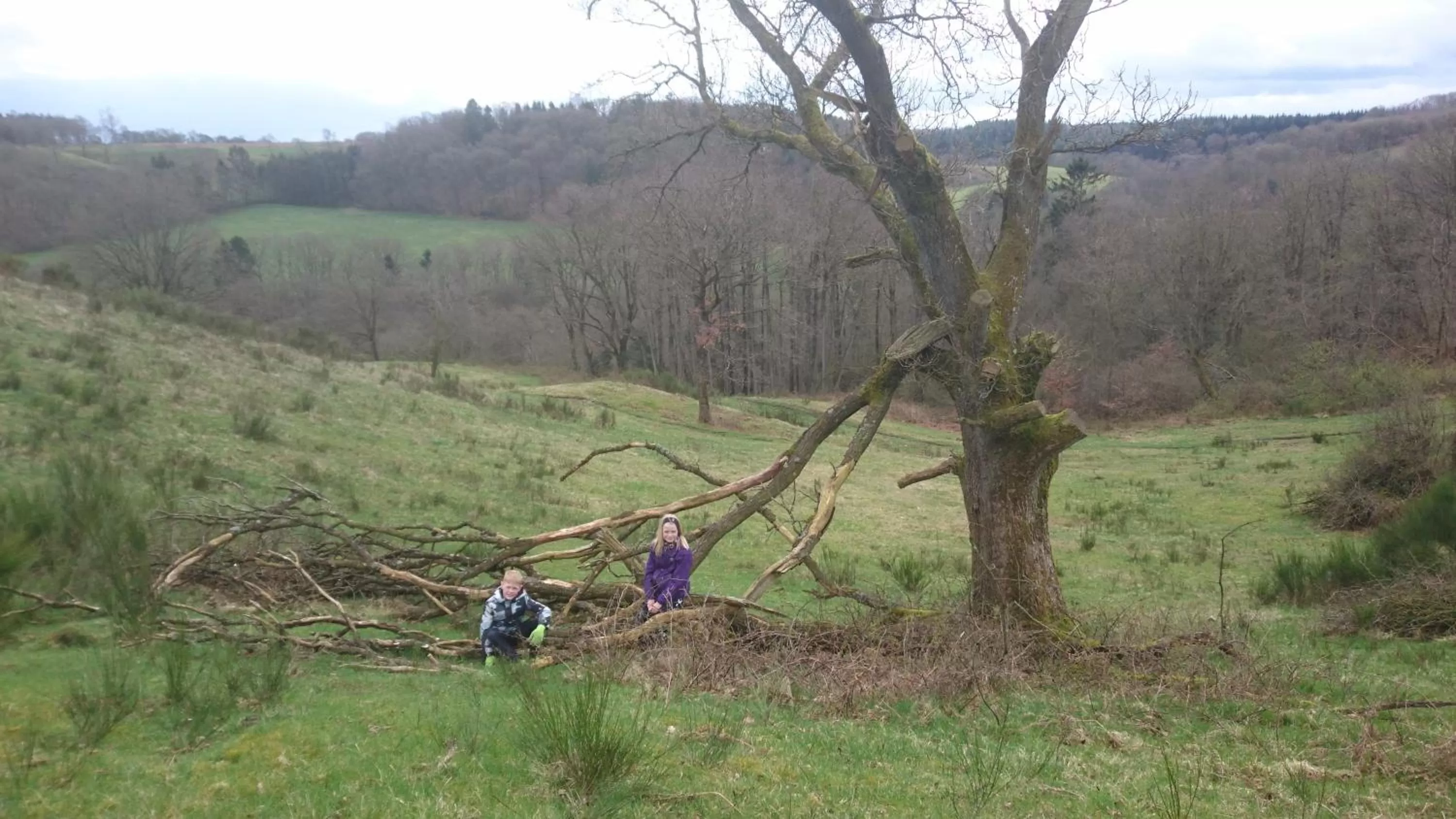 Nearby landmark in Egtved Hotel