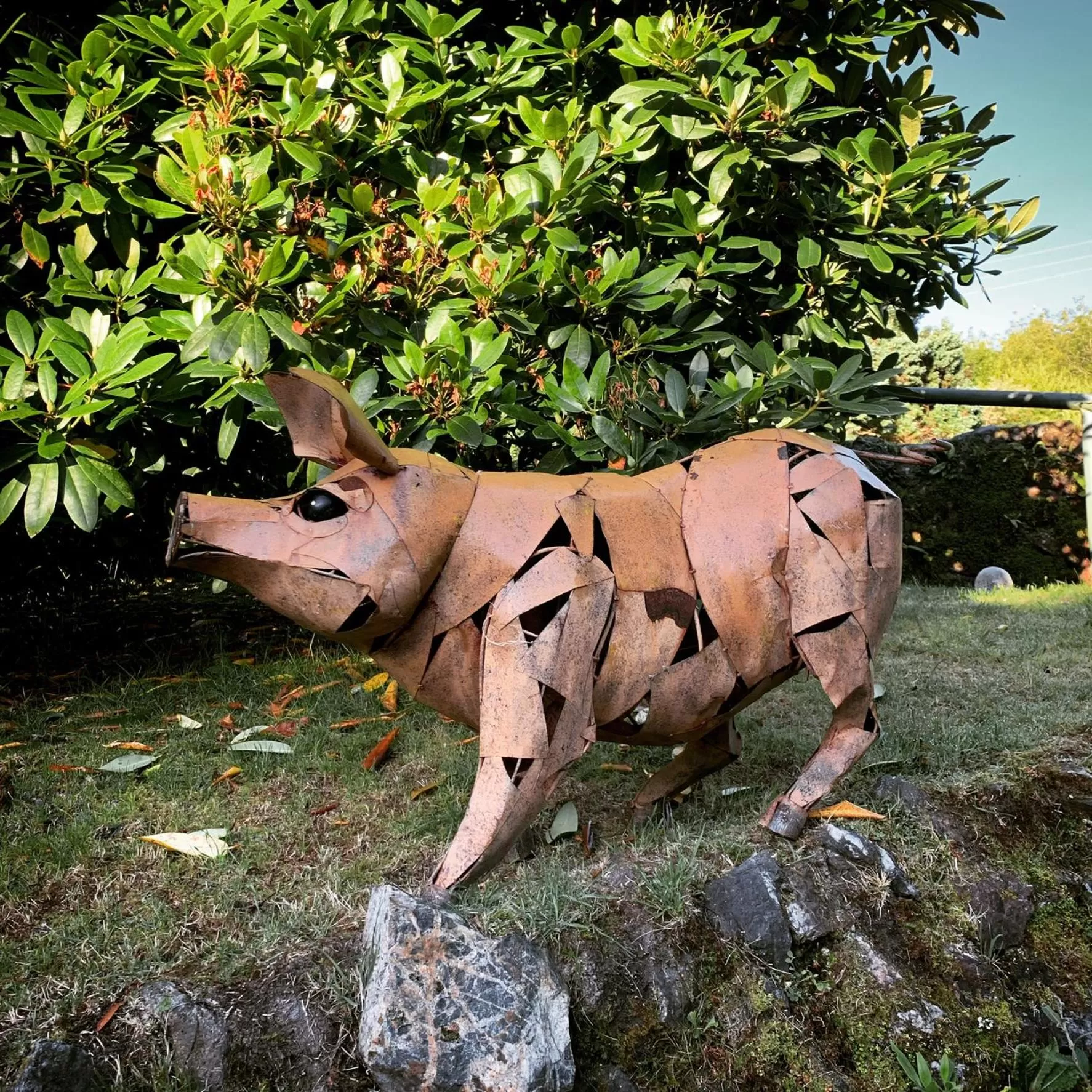 Animals, Pets in Boscundle Manor