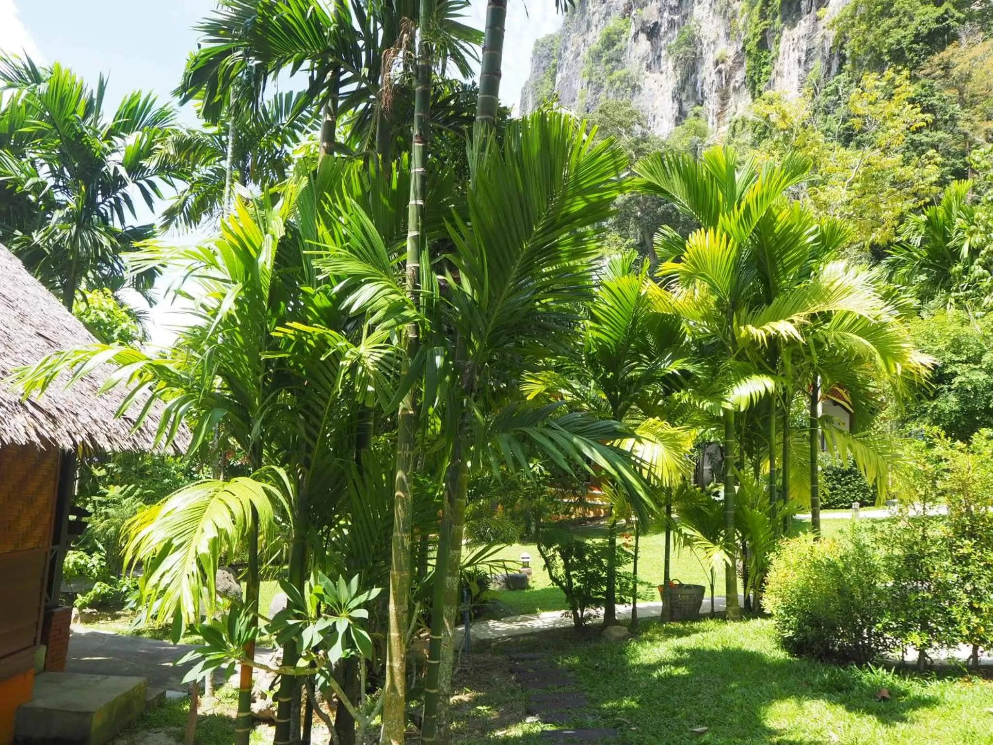 Garden view in Vipa Tropical Resort