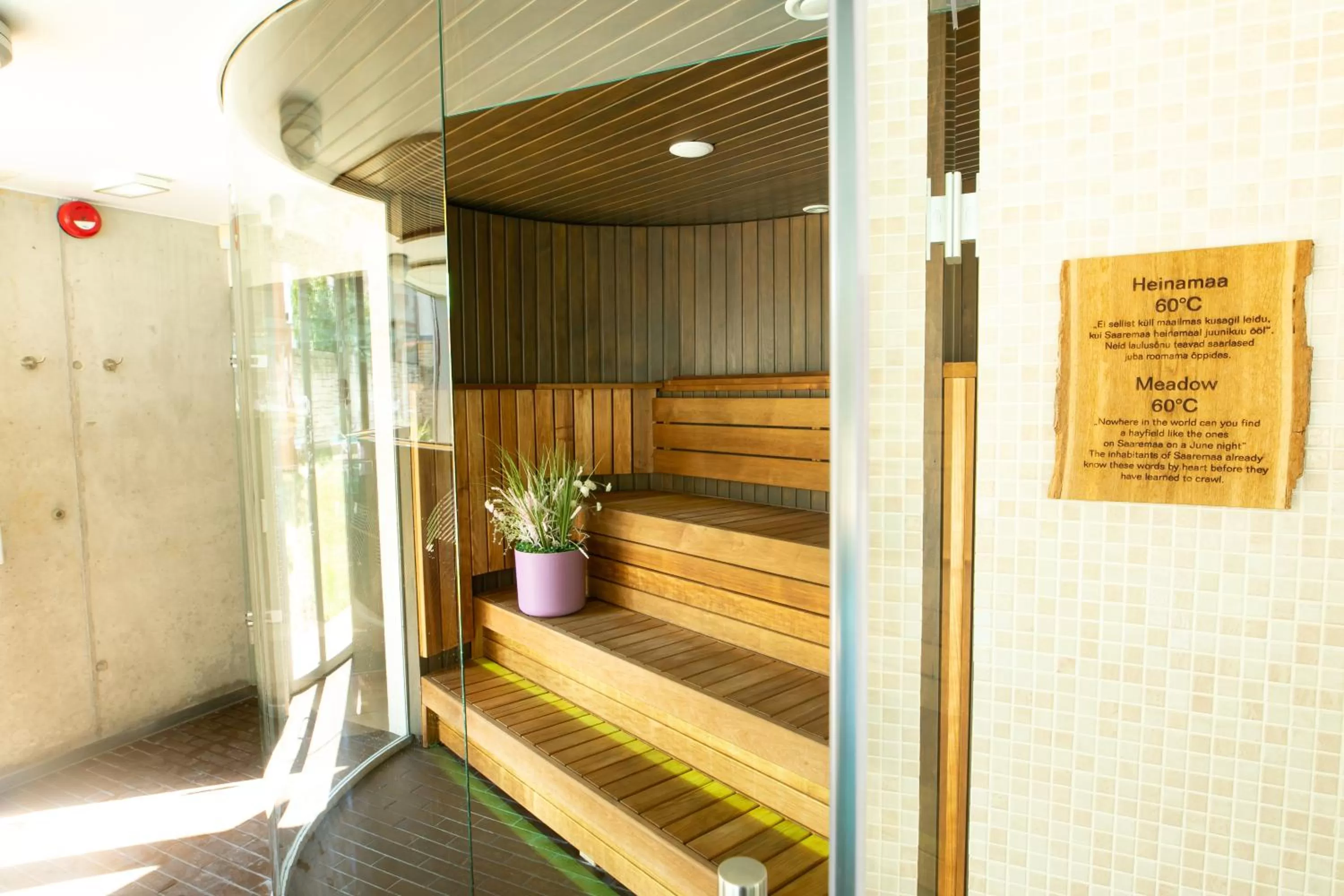 Sauna in Johan Design & SPA Hotel