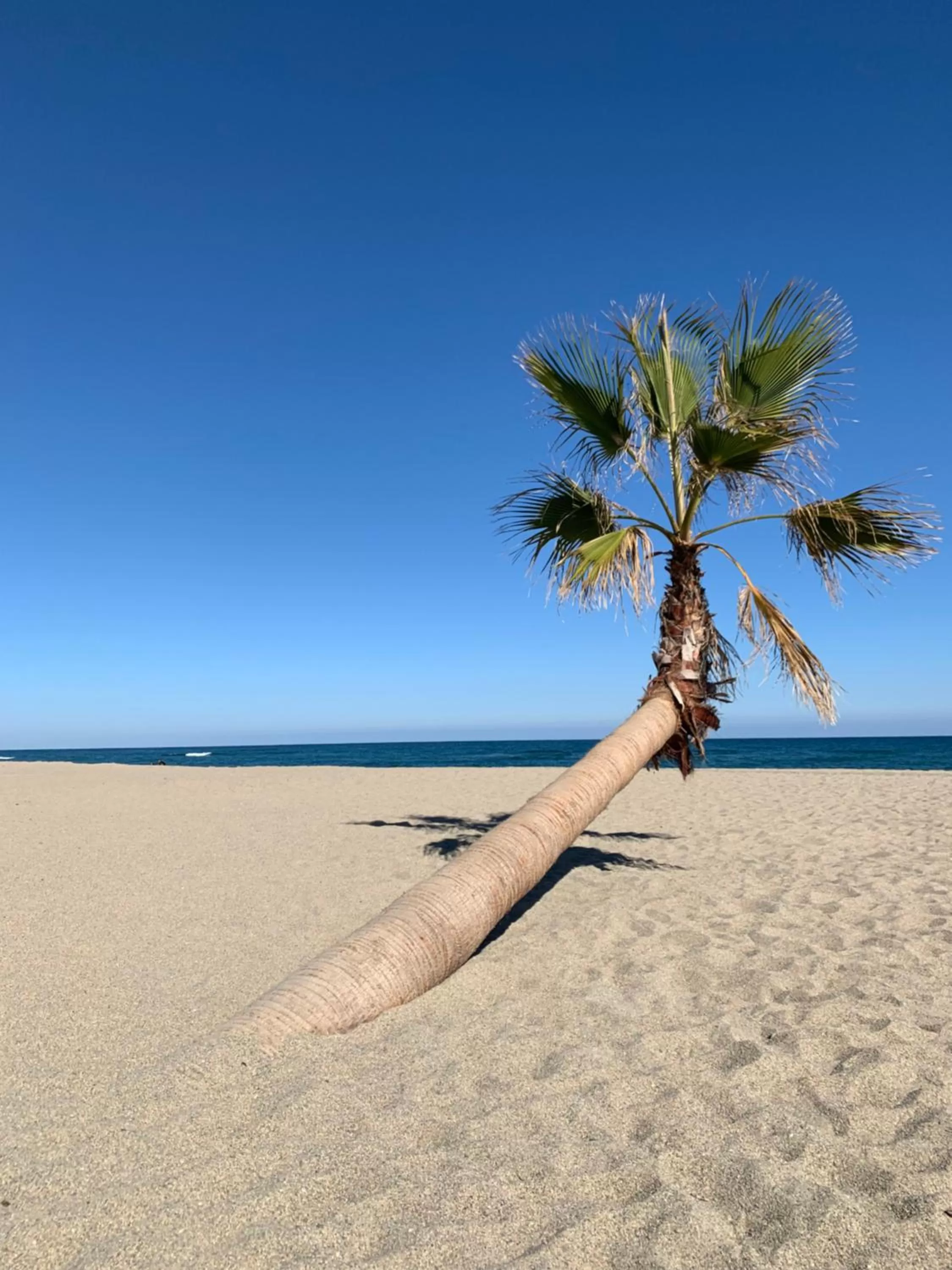 Résidence La Pinède