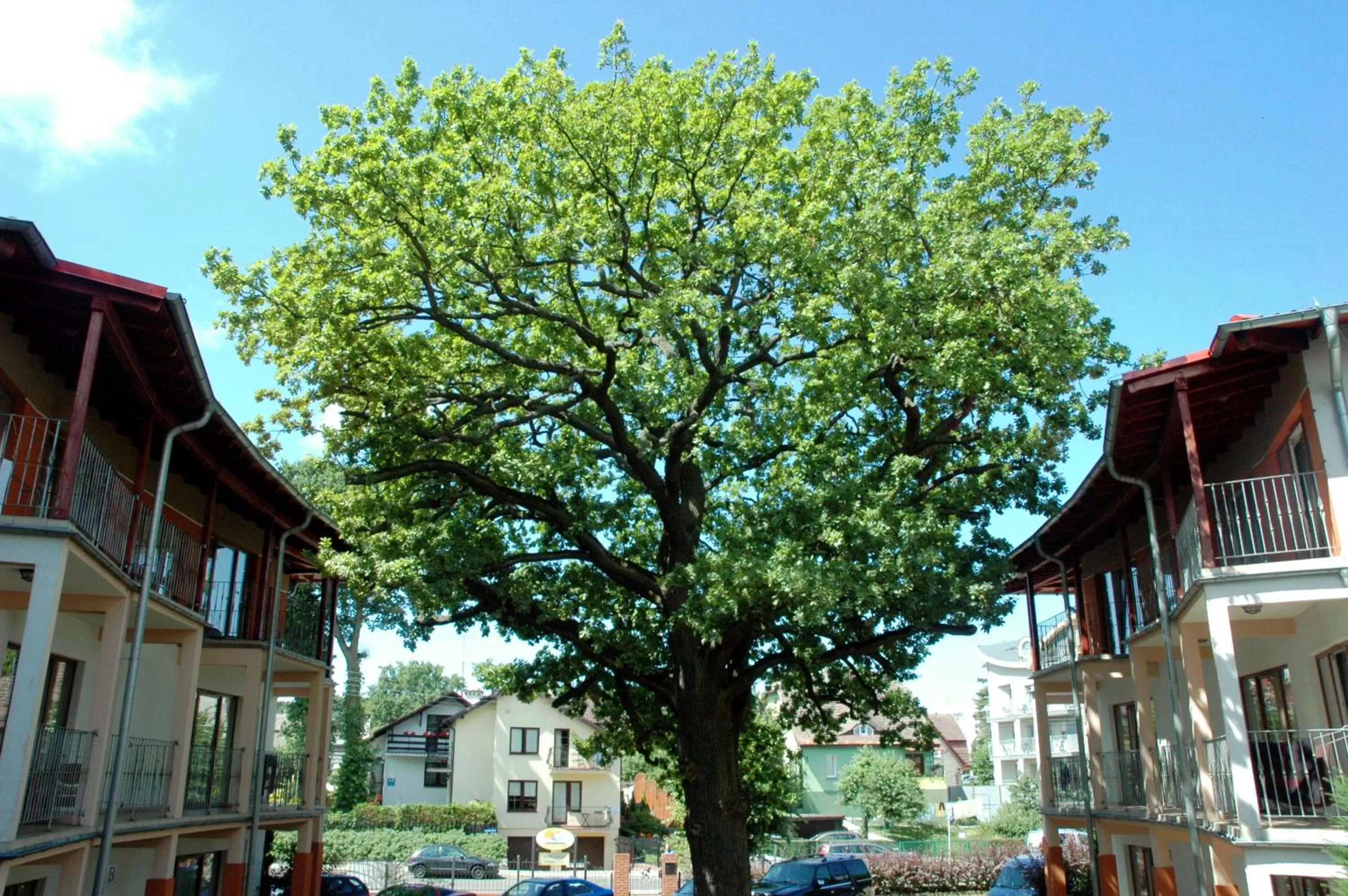 Spring in Rezydencja 5 Dębów