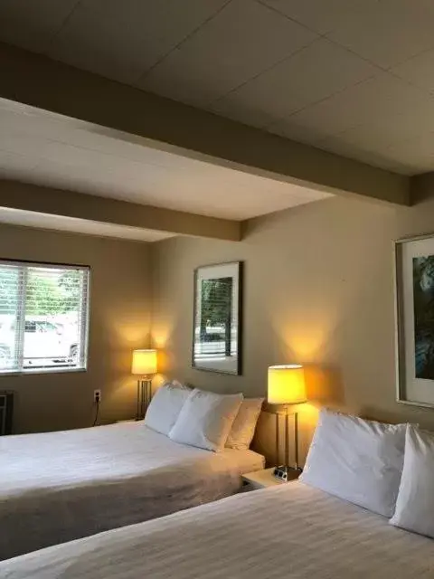 Budget Double Room in Pines Motel Budget Double Room in Pines Motel