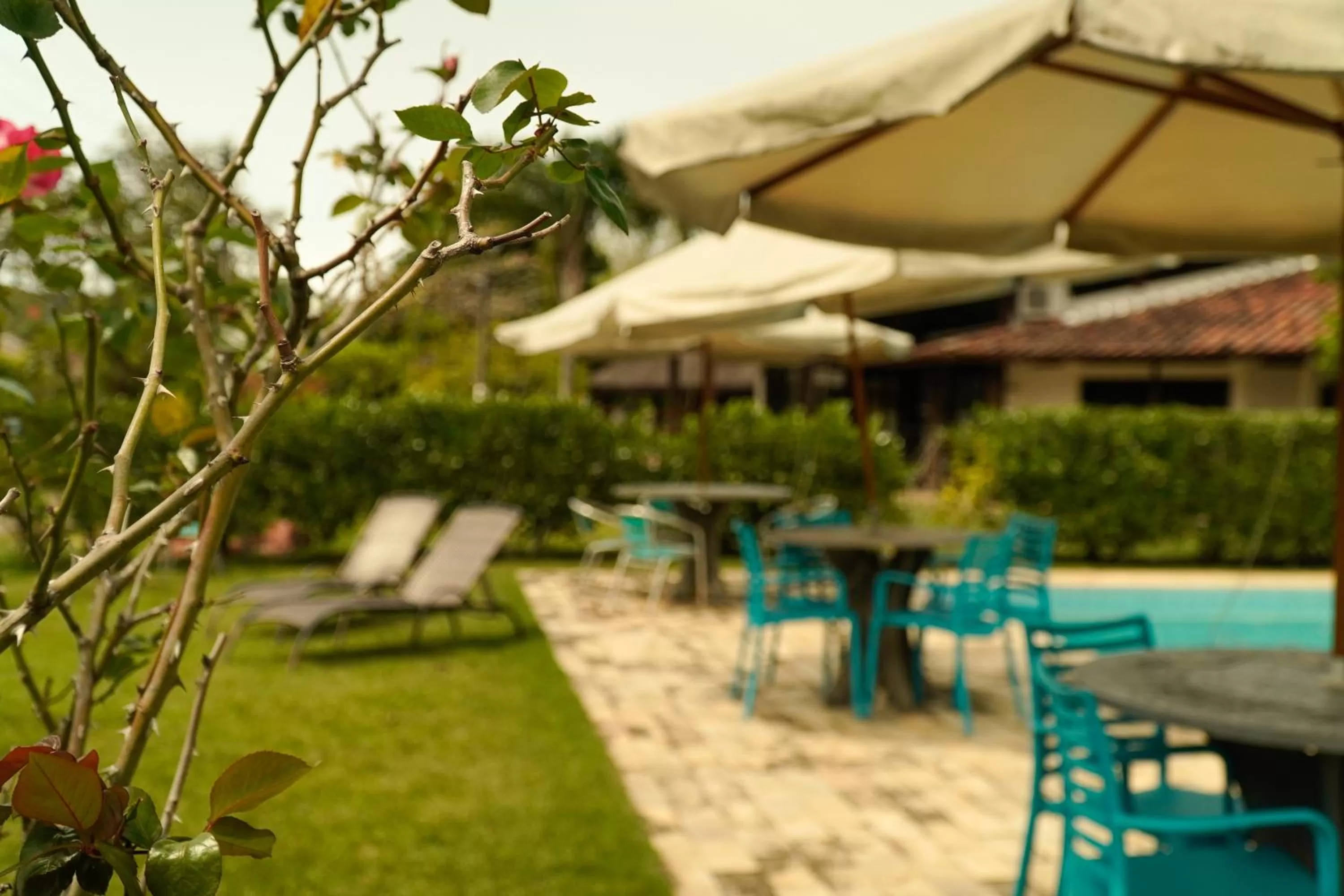 Garden in Pousada Dunasol Floripa