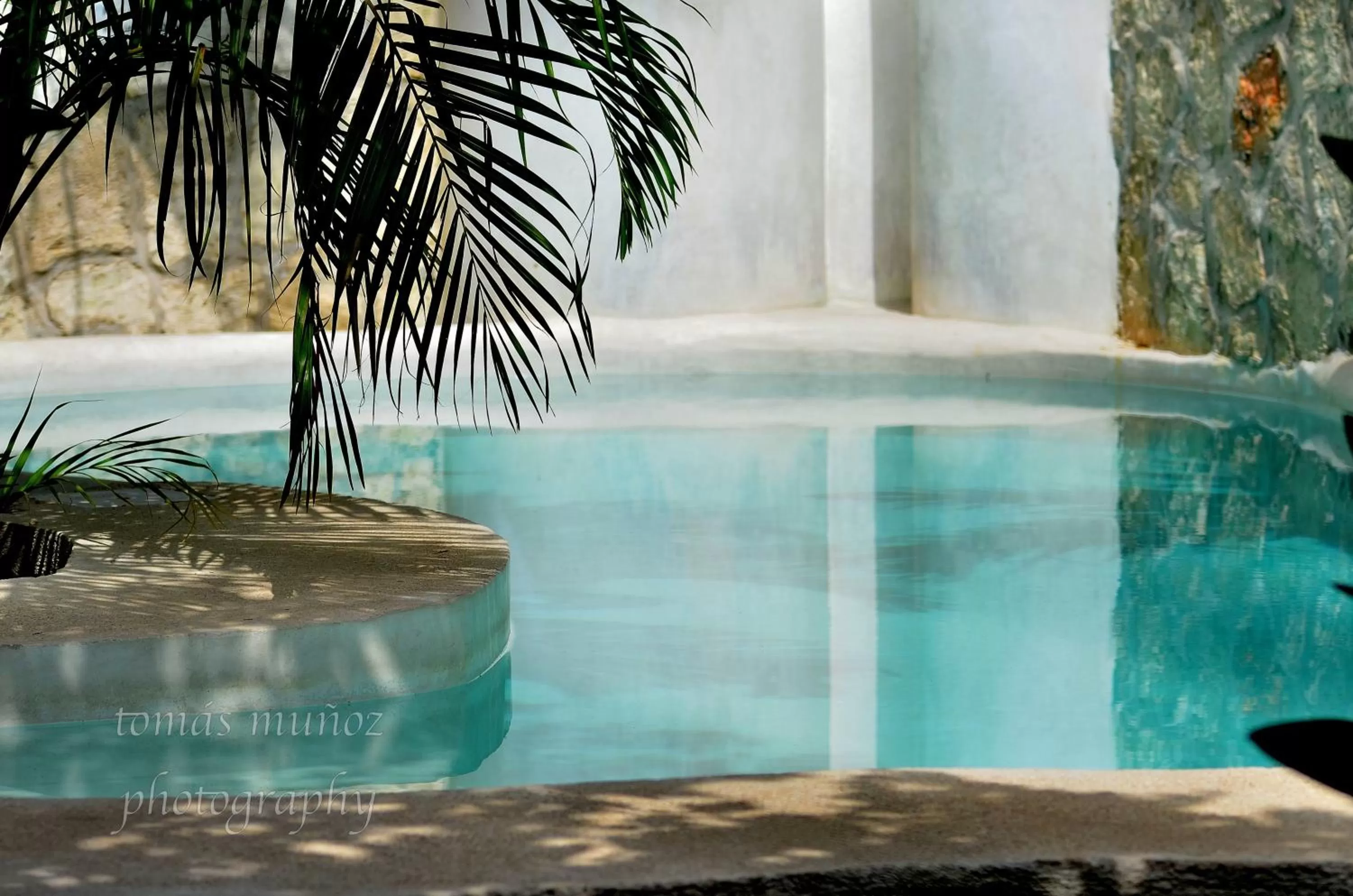 Swimming pool in Pacha Tulum Boutique Hotel