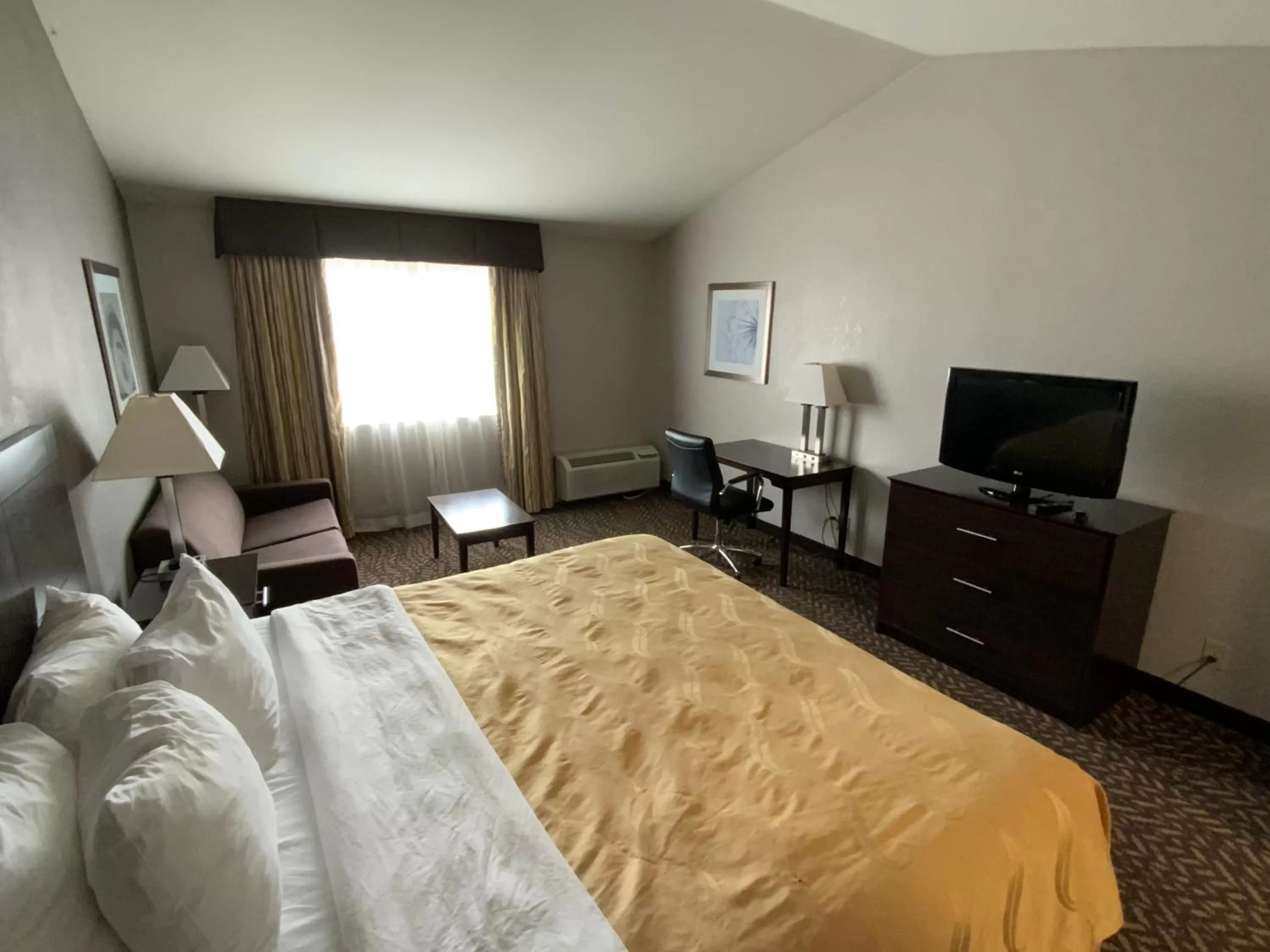 Bed in Quality Inn & Suites University-Airport