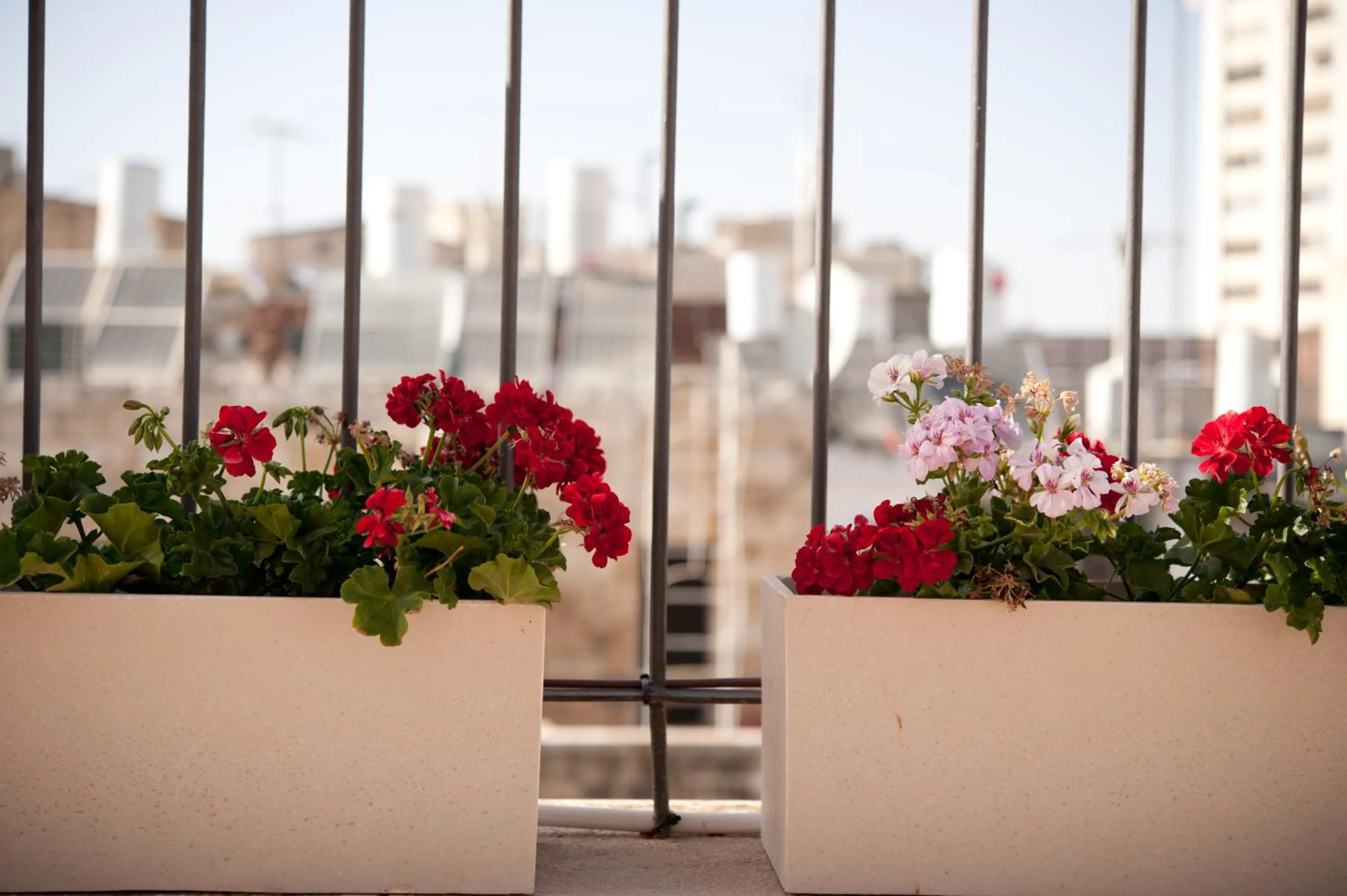 Decorative detail in Montefiore Hotel By Smart Hotels