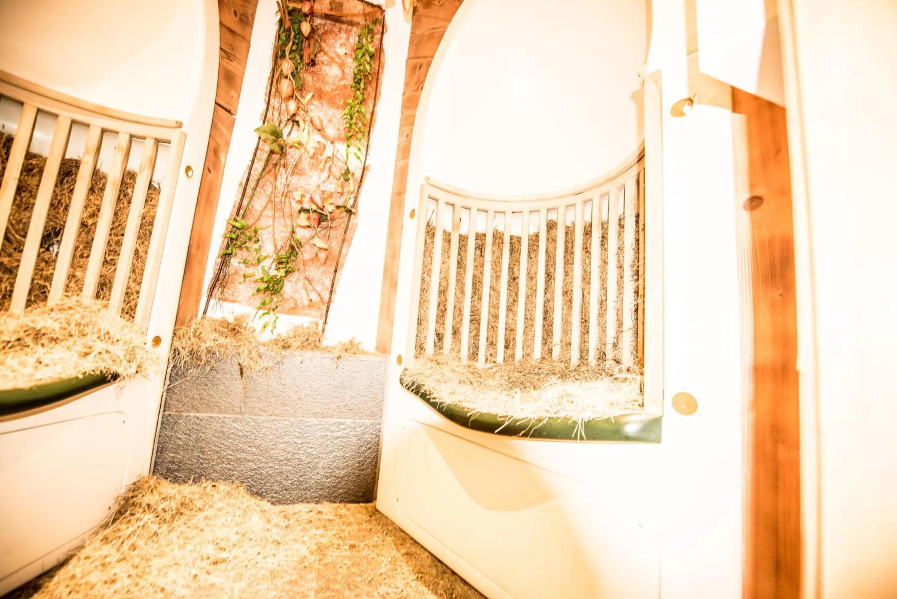 Spa and wellness centre/facilities in Hotel Enzian Genziana