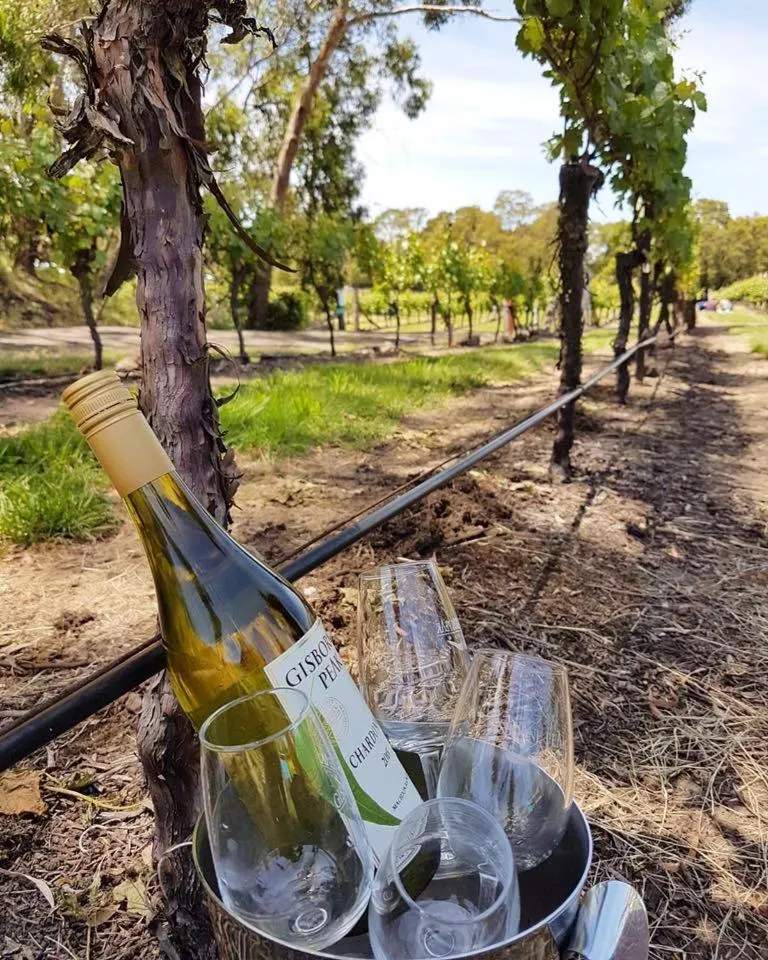 Gisborne Peak Winery Short Term Stays