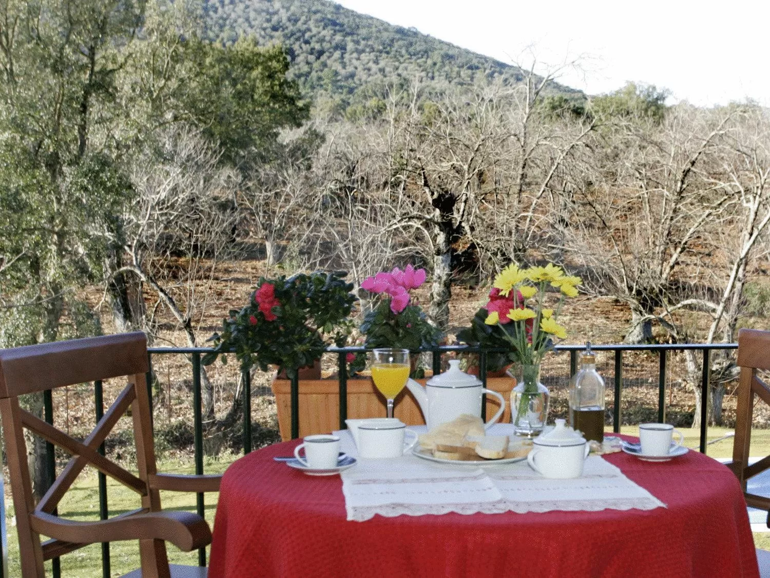 Coffee/tea facilities in Hotel Apartamento Rural Finca La Media Legua