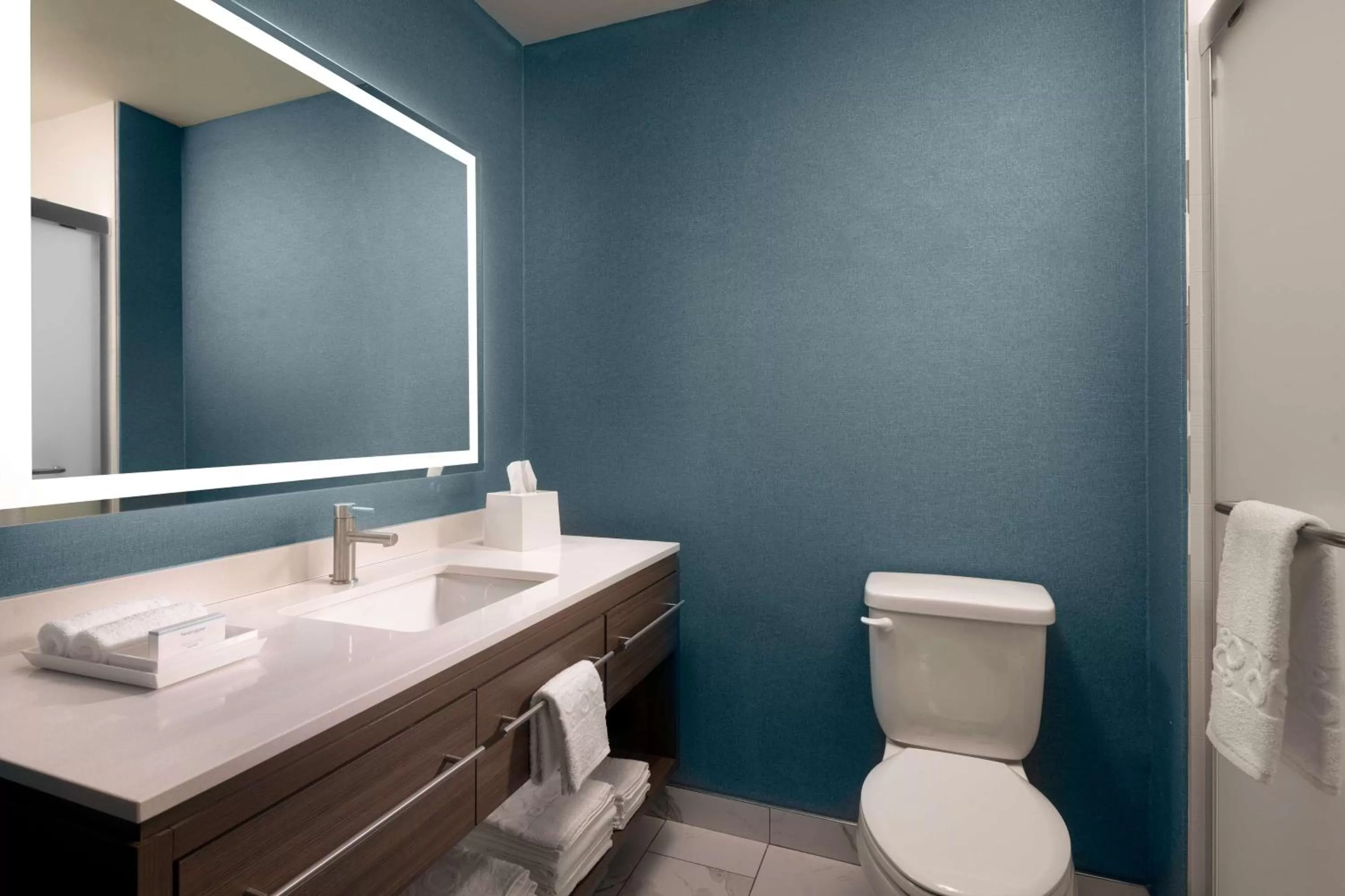 Toilet in Home2 Suites By Hilton Bend, Or