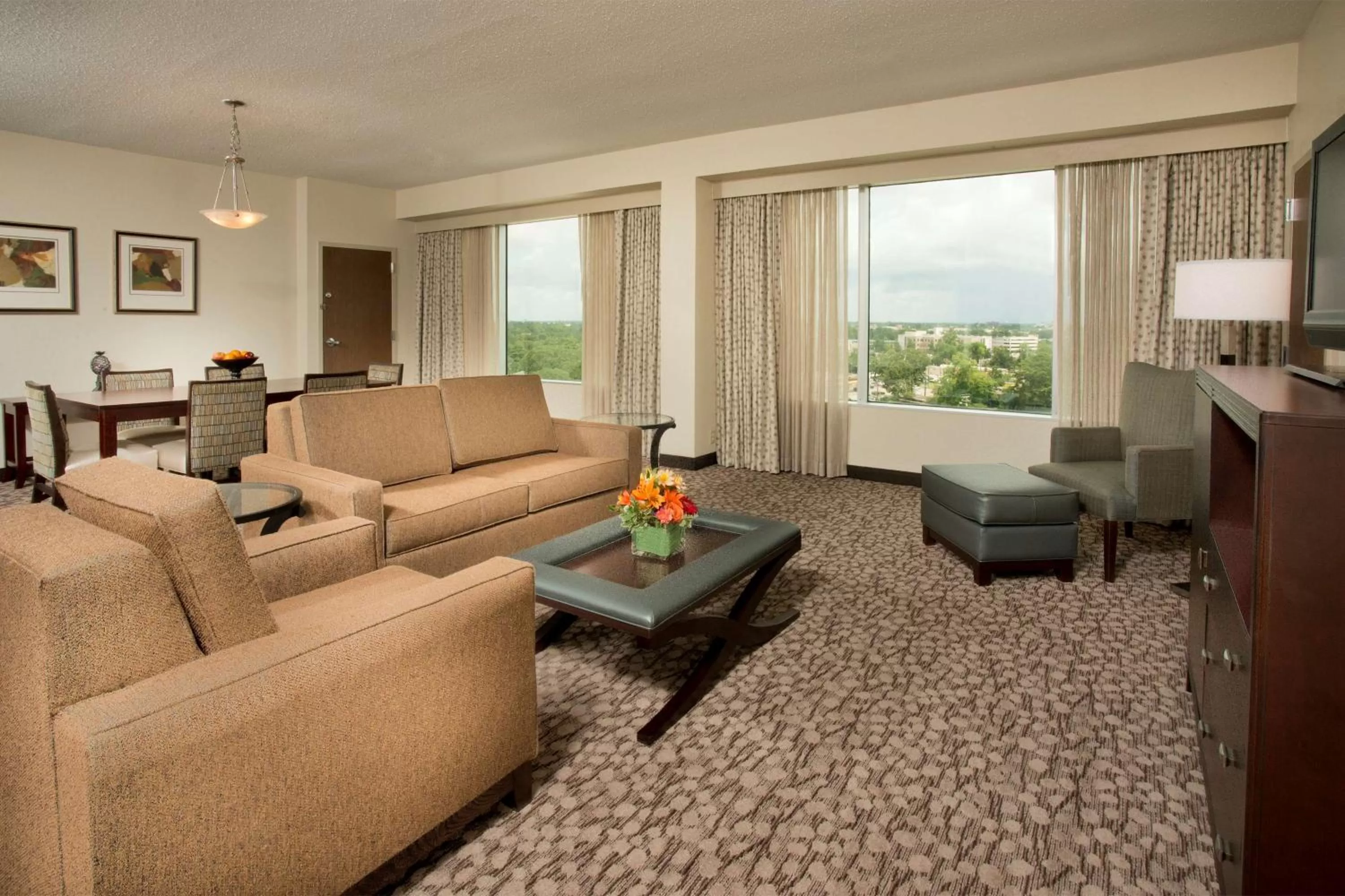Living room in DoubleTree by Hilton Lafayette